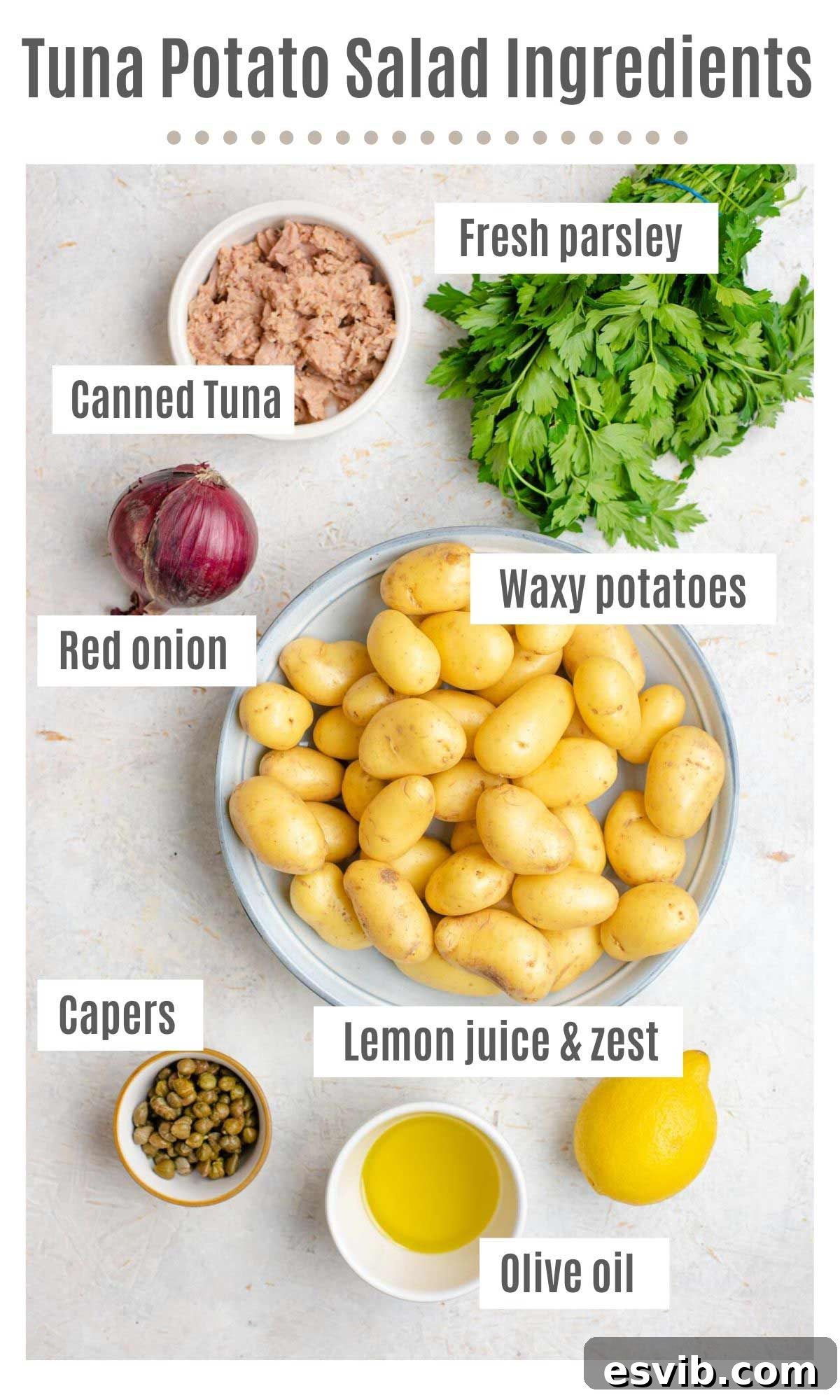 An overhead shot of all the fresh ingredients required to prepare a delicious Italian Tuna Potato Salad: baby potatoes, red onion, capers, lemon, olive oil, fresh parsley, and a can of tuna in olive oil.