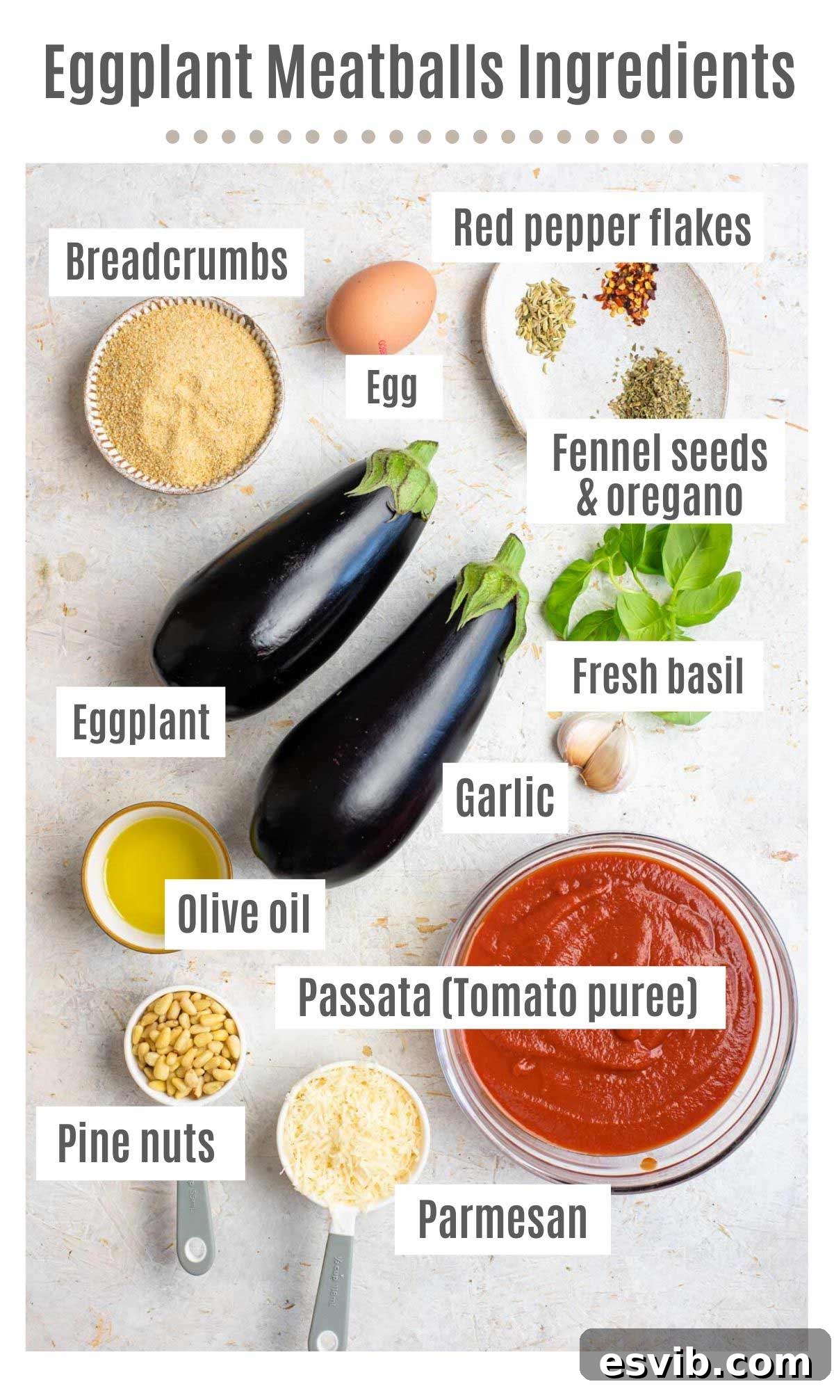 Plant-Based Eggplant Meatballs in Rustic Tomato Sauce 3 An overhead shot of all fresh ingredients for eggplant meatballs including eggplant, parmesan, herbs, pine nuts, and tomato sauce ingredients.
