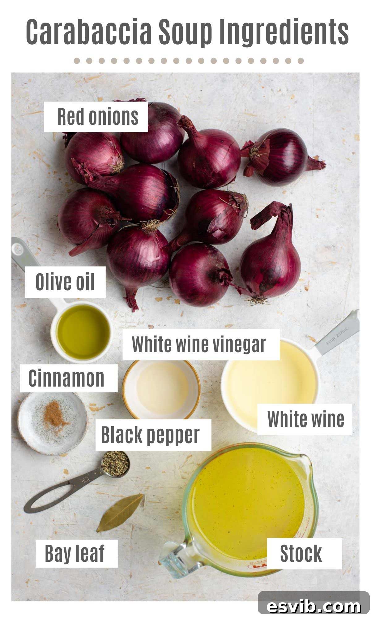 An overhead shot of all the ingredients needed to make Carabaccia, neatly arranged.