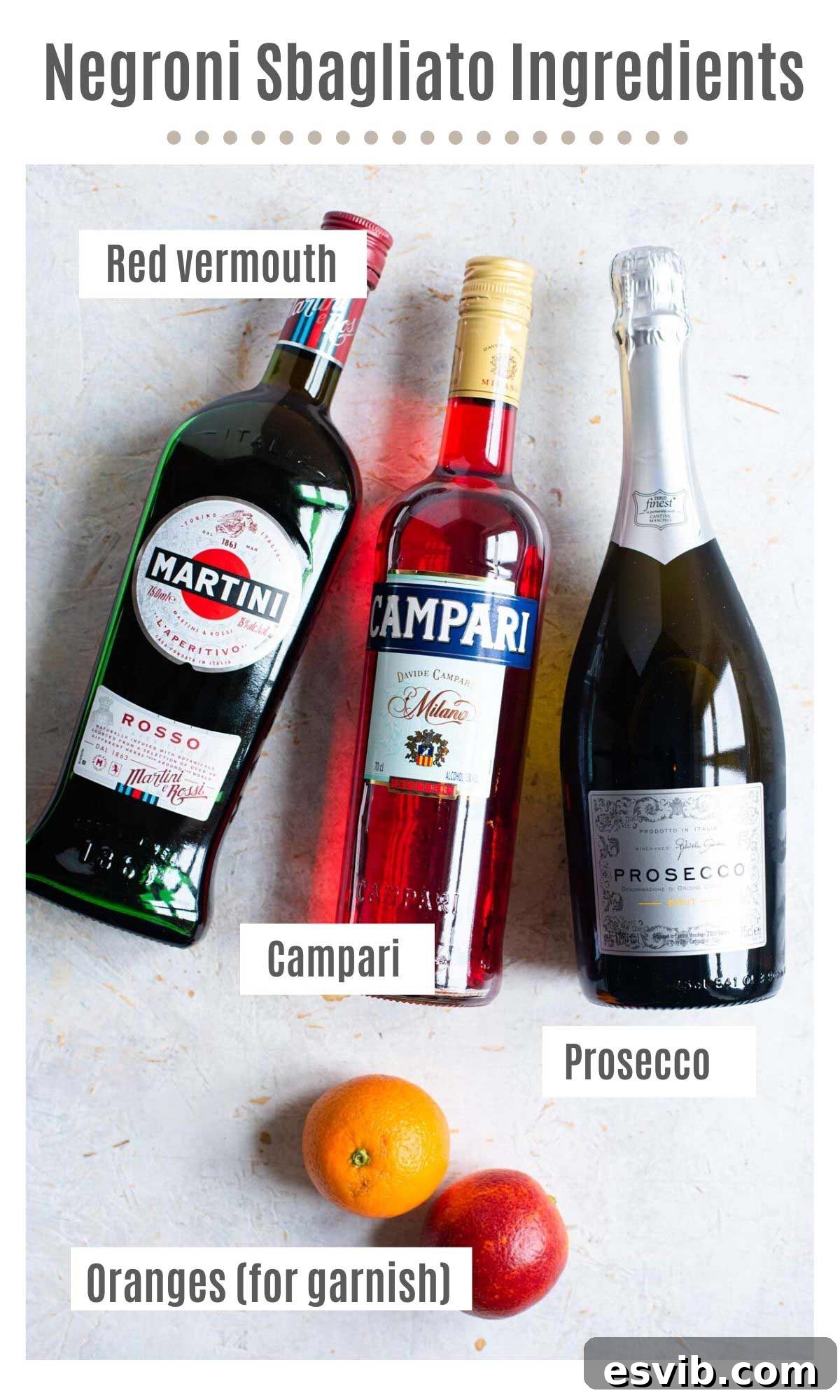 An overhead shot of all the ingredients you need to make a Negroni Sbagliato laid out on a surface