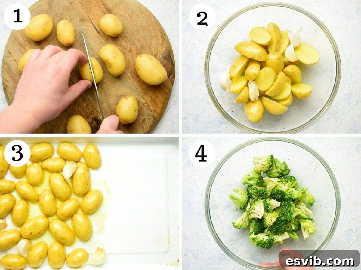 The initial stage of roasting, showing halved baby potatoes and whole garlic cloves arranged cut-side down on a baking sheet, glistening with olive oil and seasonings.