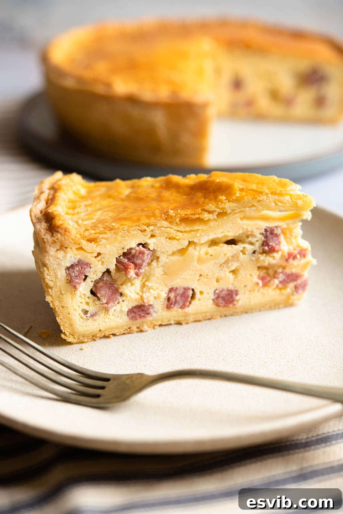 Classic Italian Easter Pie 9 A close-up view of a perfectly sliced piece of Pizza Rustica, revealing its dense, savory layers of eggs, cheese, and salami encased in a golden, flaky crust.