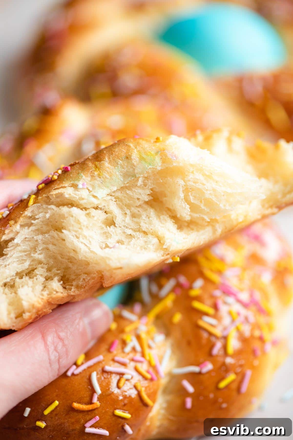 A close up of the inside of Italian Easter bread