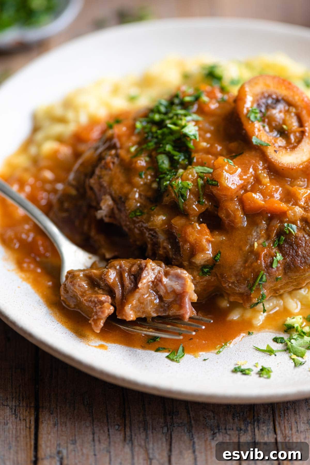 A close up of a piece of osso bucco on a fork with sauce