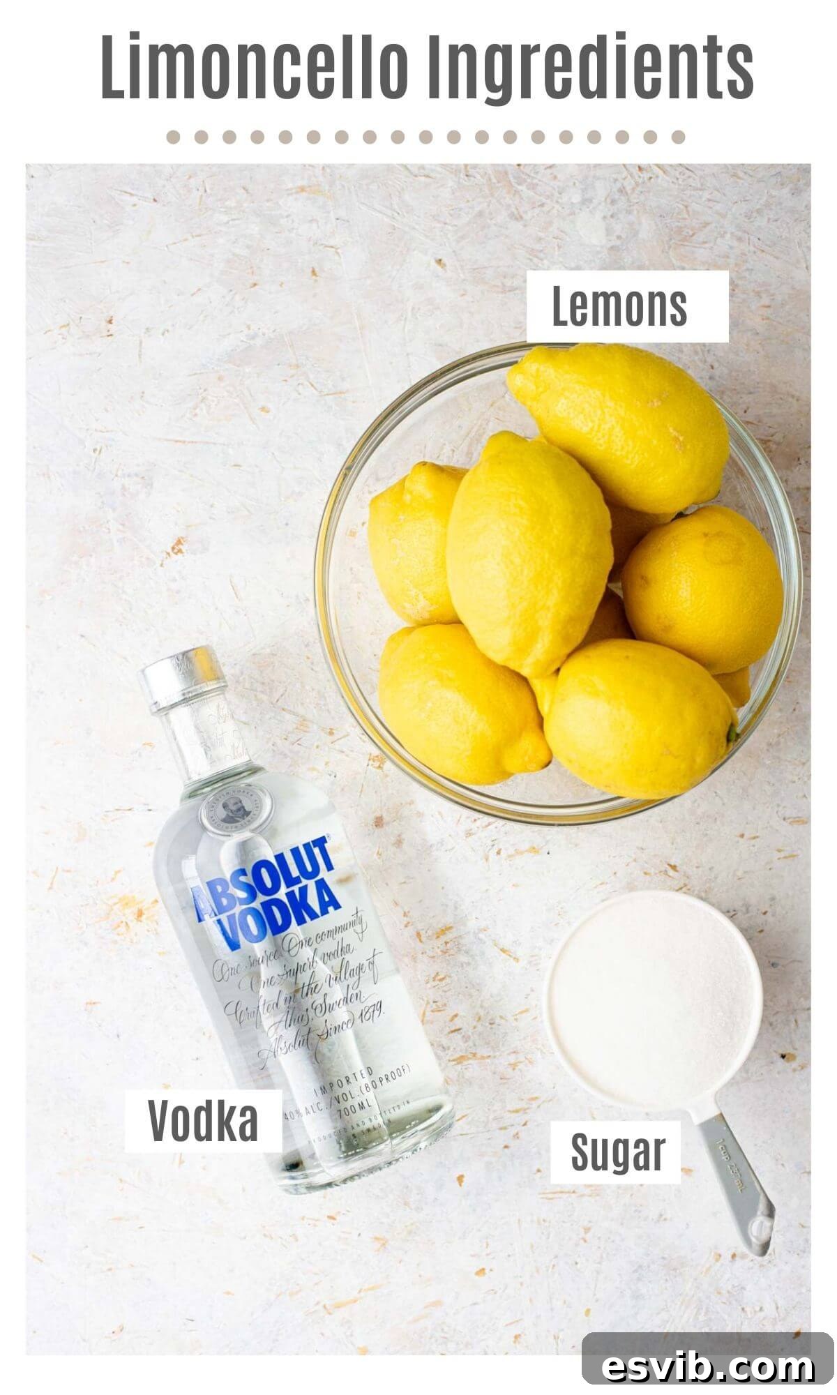An overhead shot showcasing all the fresh ingredients required to make delicious homemade limoncello.