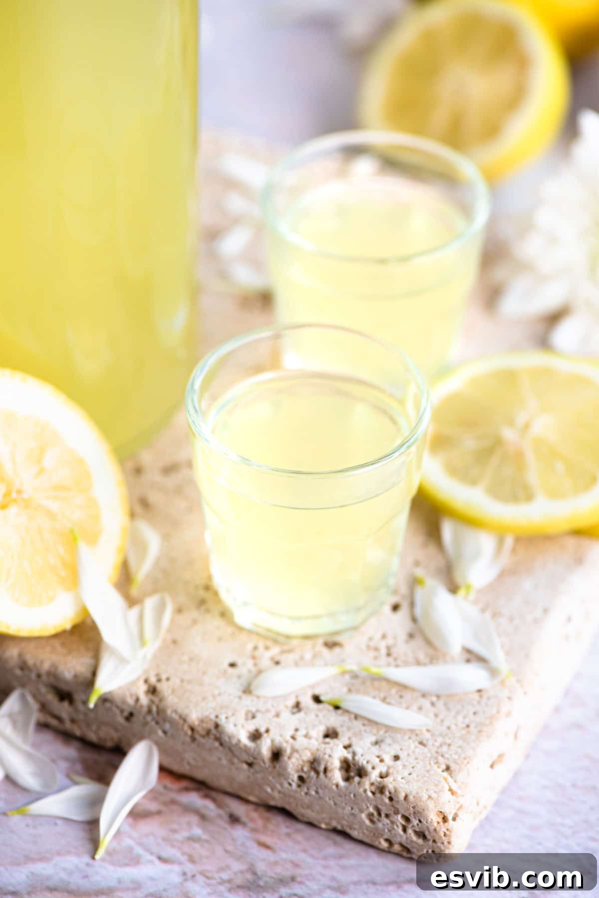 Two shot glasses filled with bright yellow limoncello, garnished with fresh lemon slices, ready for a refreshing sip.