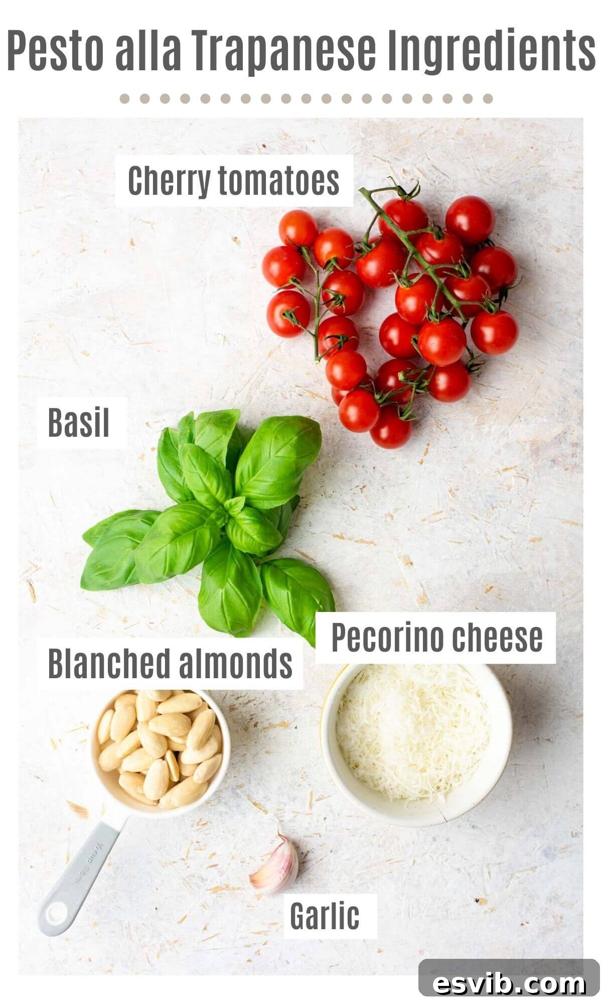 An overhead shot of all the ingredients you need to make pesto alla trapanese