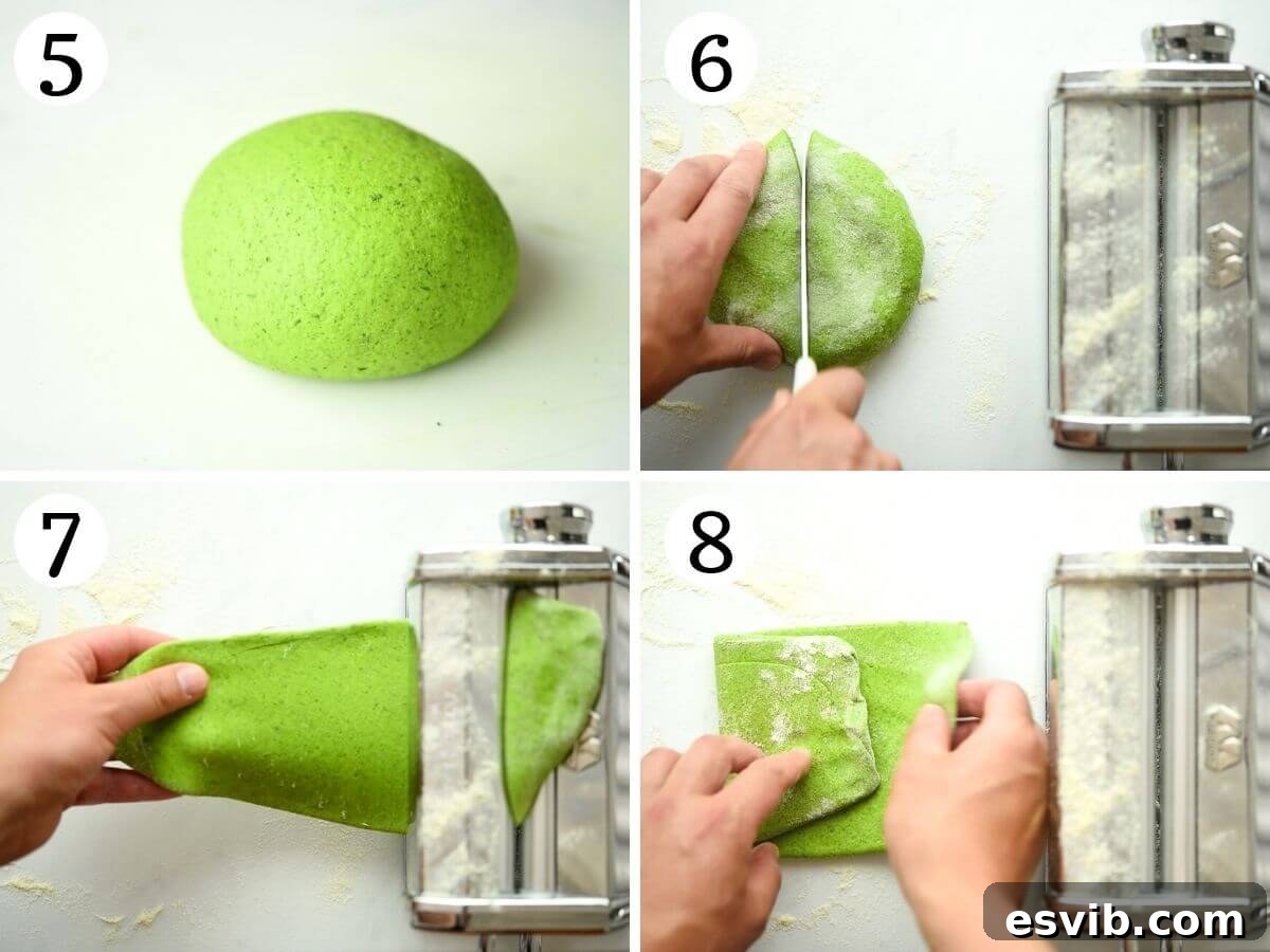 Step by step photos demonstrating the kneading process for spinach pasta dough, showing how it transforms into a smooth, elastic ball ready for rolling.
