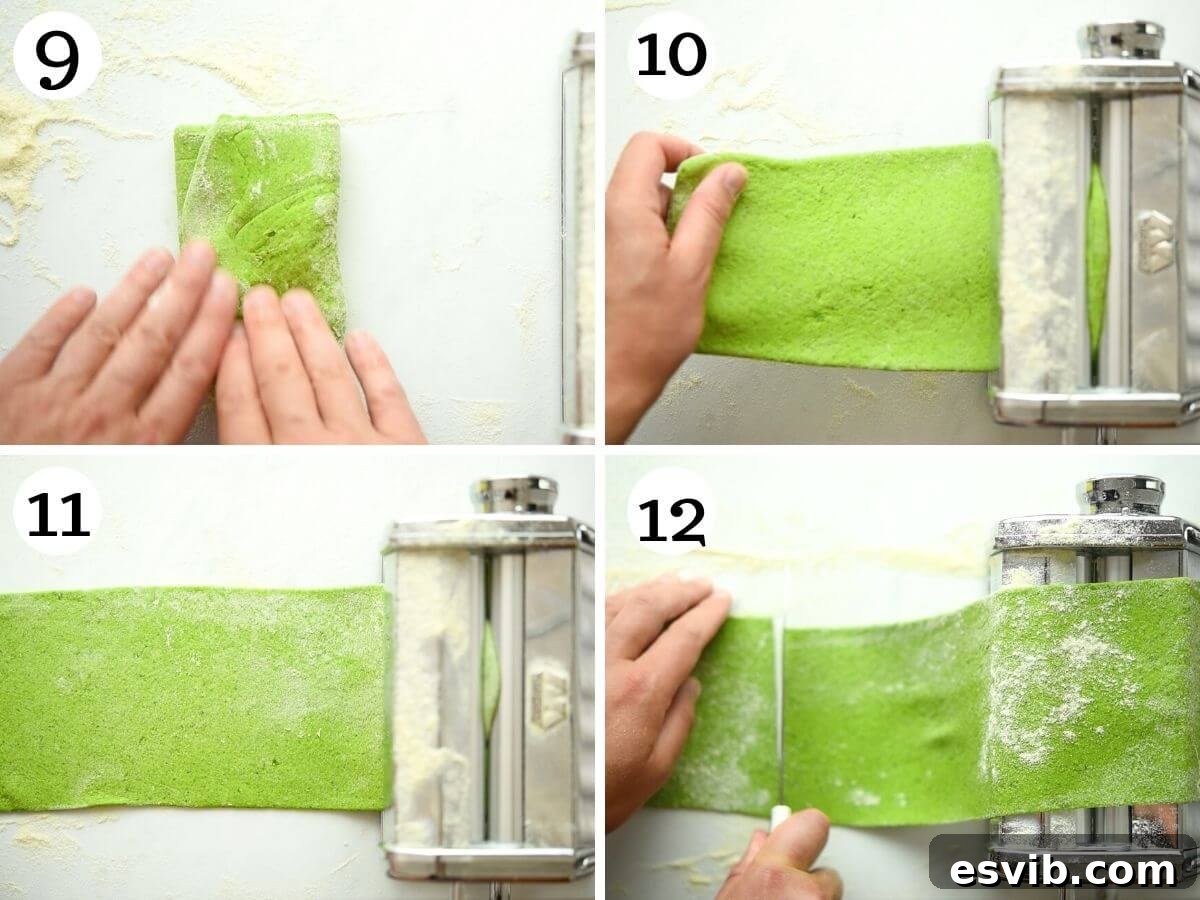 Step by step photos showing the process of rolling spinach pasta dough through a pasta machine, including initial flattening, folding, and successive passes to achieve smooth sheets.