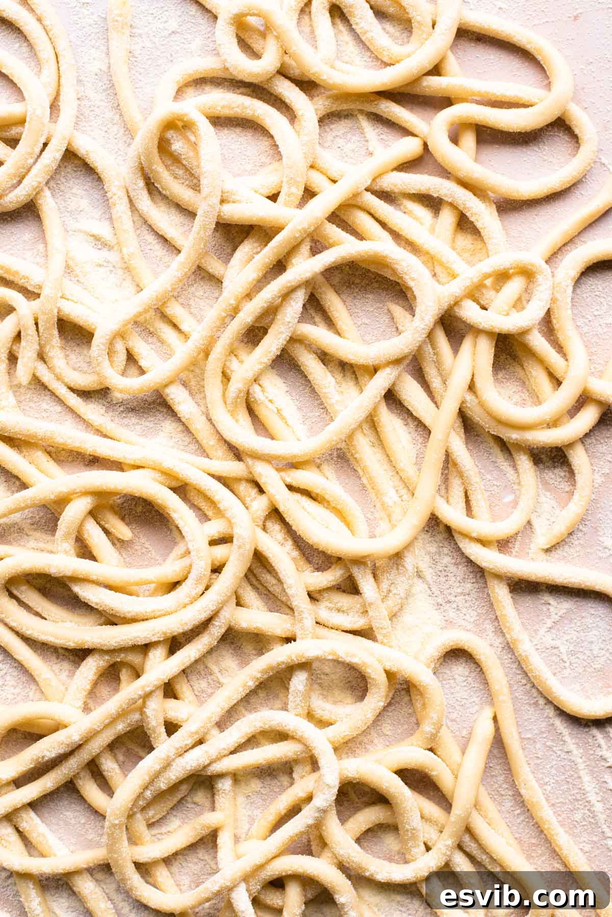 Pici Perfection: Crafting Hand-Rolled Pasta 6 A close up shot of homemade pici pasta, highlighting its thick, rustic texture, ready for cooking.
