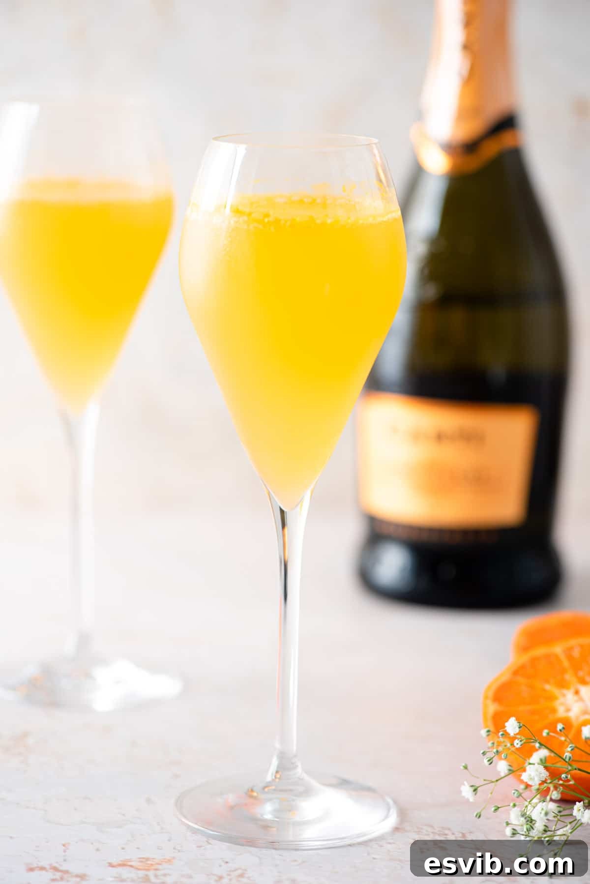 Two Puccini cocktails in flute glasses with a bottle of prosecco in the background, exuding elegance and refreshment.