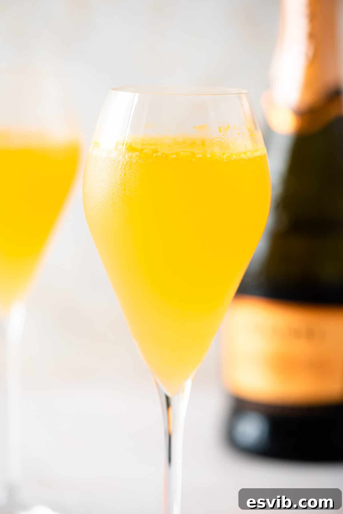 A close up of a vibrant Puccini cocktail in a flute glass, showcasing its beautiful orange color and delicate bubbles.