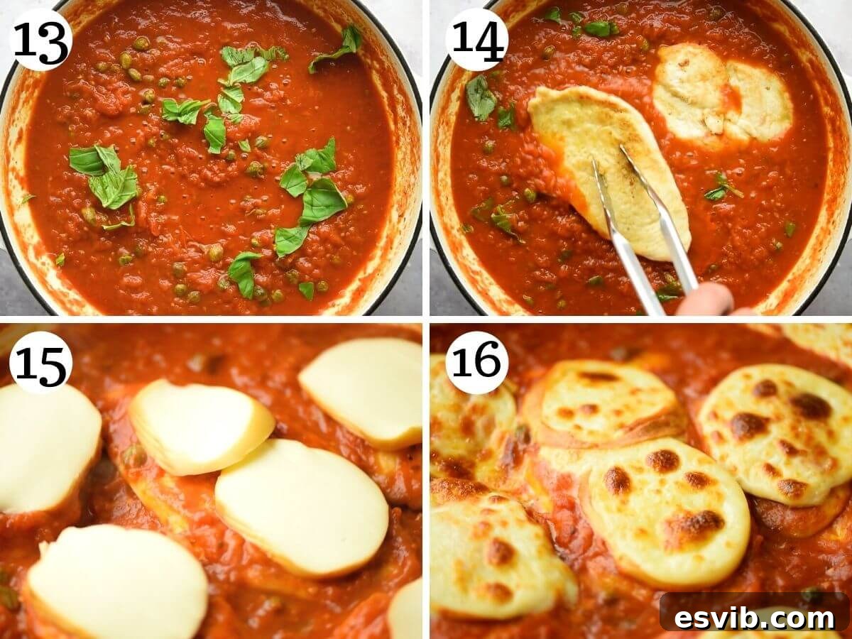 Smoky Scamorza Chicken Pizzaiola 7 Step by step photos illustrating the final stages of cooking chicken pizzaiola, adding cheese and broiling