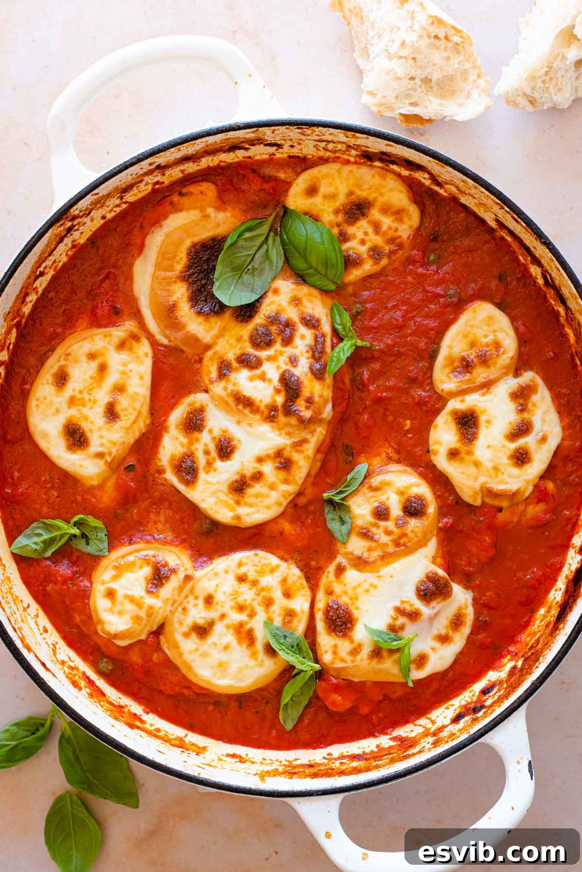 Smoky Scamorza Chicken Pizzaiola 8 An overhead shot of a chicken pizzaiola in a large pan topped with fresh basil, ready to be served