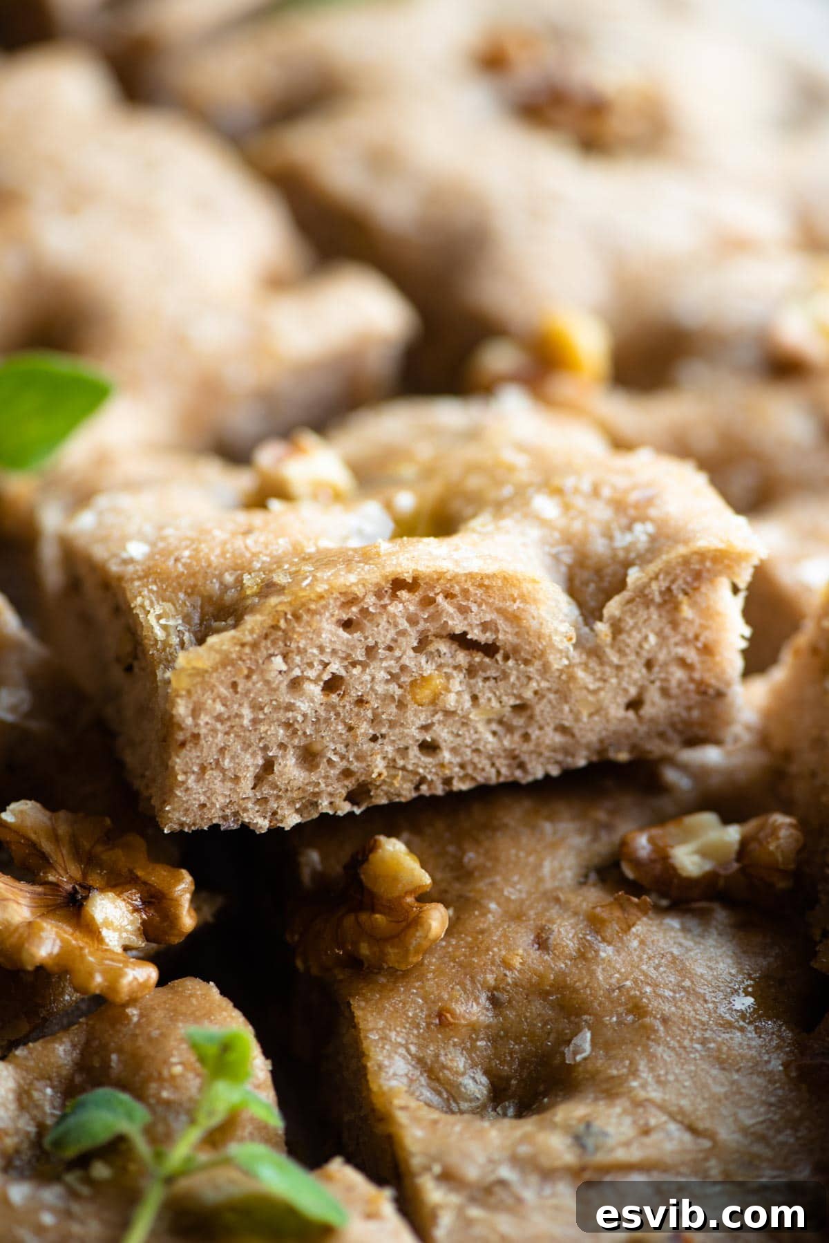 A close up of a perfectly baked slice of walnut focaccia showing the open, airy texture and embedded walnuts inside