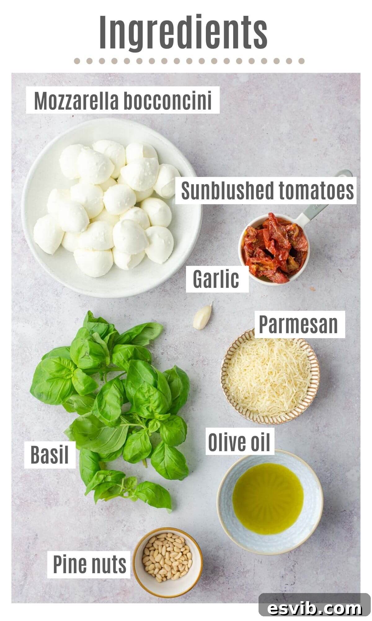 An overhead view showcasing all the fresh ingredients needed for a simple mozzarella bocconcini, pesto, and sun-blushed tomatoes recipe laid out on a rustic surface.