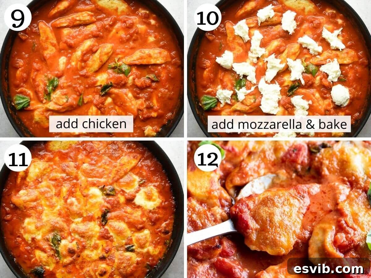 Sorrento's Signature Chicken 6 Step-by-step photos illustrating the final baking stage of chicken sorrentina, showing the dish topped with mozzarella and bubbling in the oven.