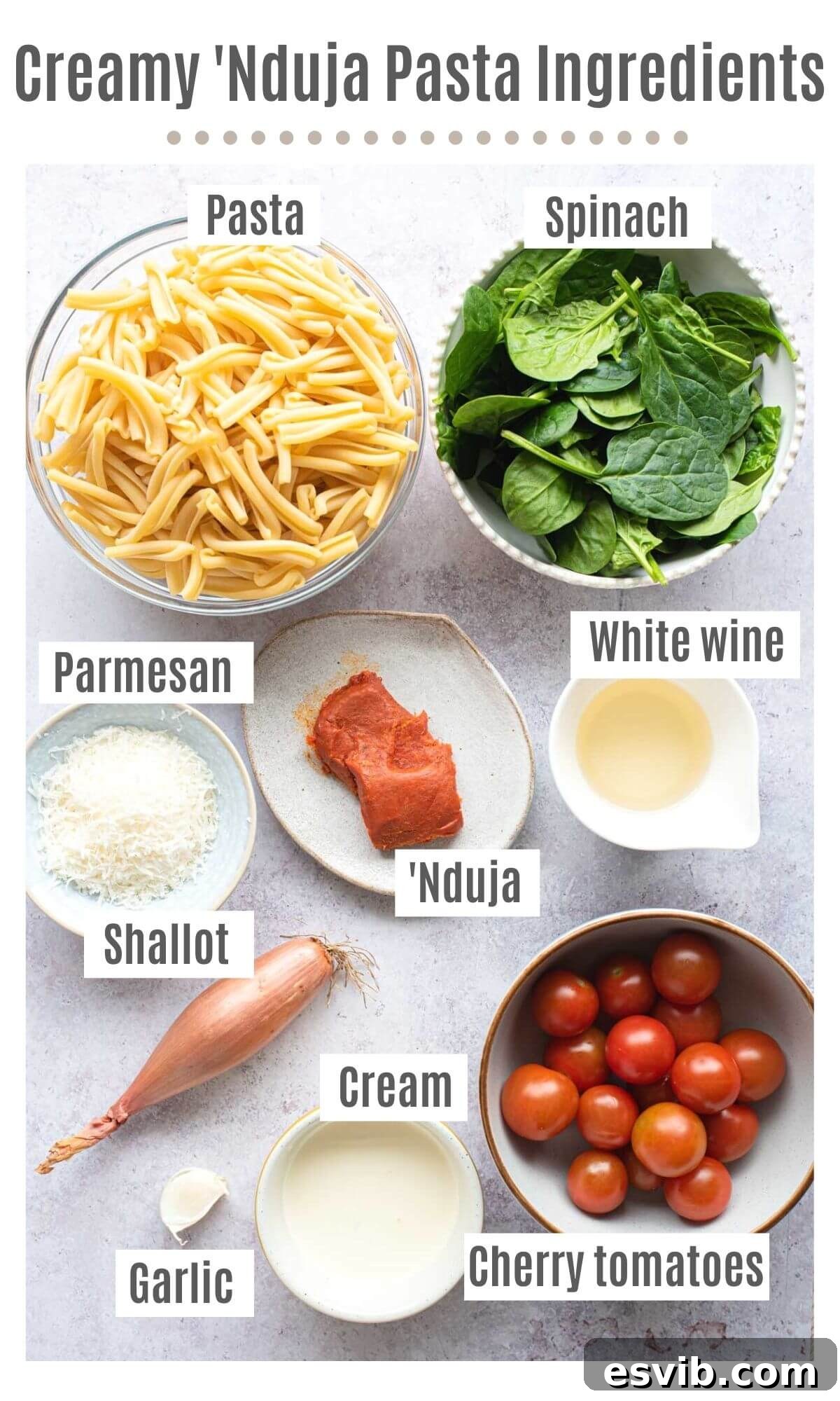 An overhead shot of all the ingredients you need to make creamy Nduja pasta, including cherry tomatoes, Nduja, cream, pasta, and herbs