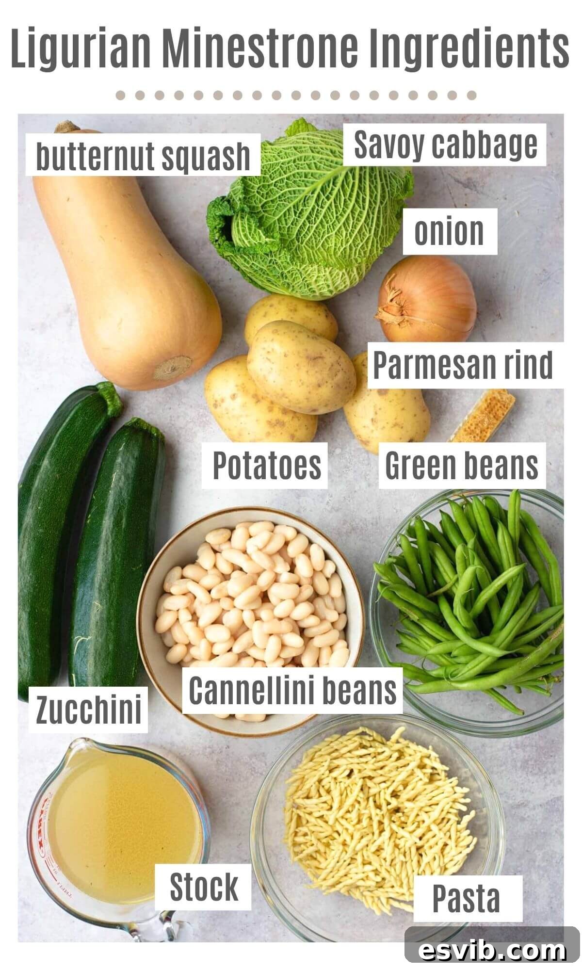 An overhead shot of all the fresh vegetables including a large onion, a small butternut squash, medium potatoes, two zucchini, green beans, a head of savoy cabbage, and a bowl of cannellini beans, neatly laid out on a table, signifying readiness to make Ligurian Minestrone. The colors are bright and inviting, highlighting the freshness of the produce.