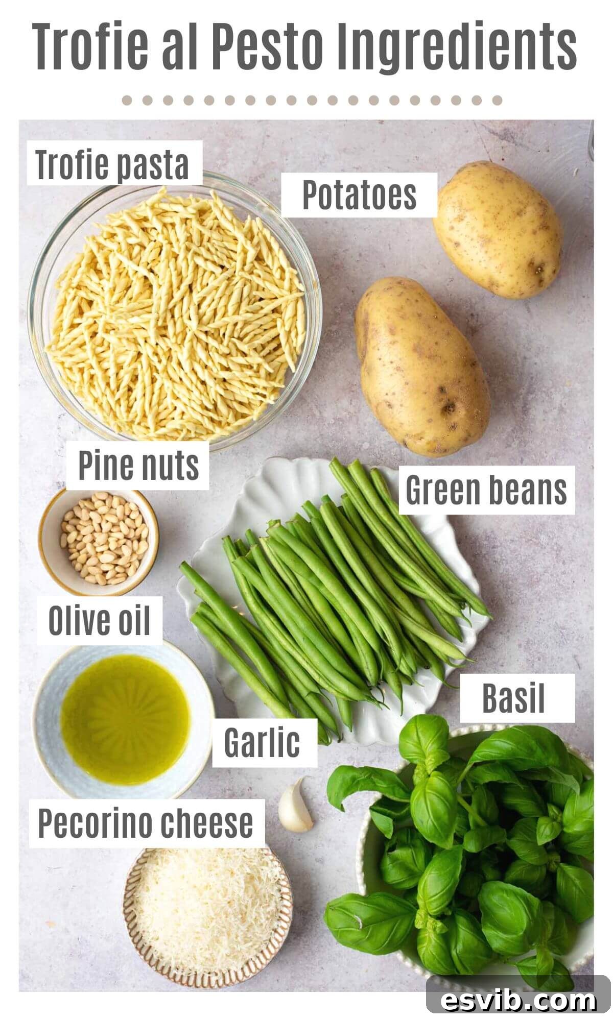 An overhead shot meticulously displaying all the fresh, high-quality ingredients required to prepare the authentic Trofie al Pesto pasta dish.