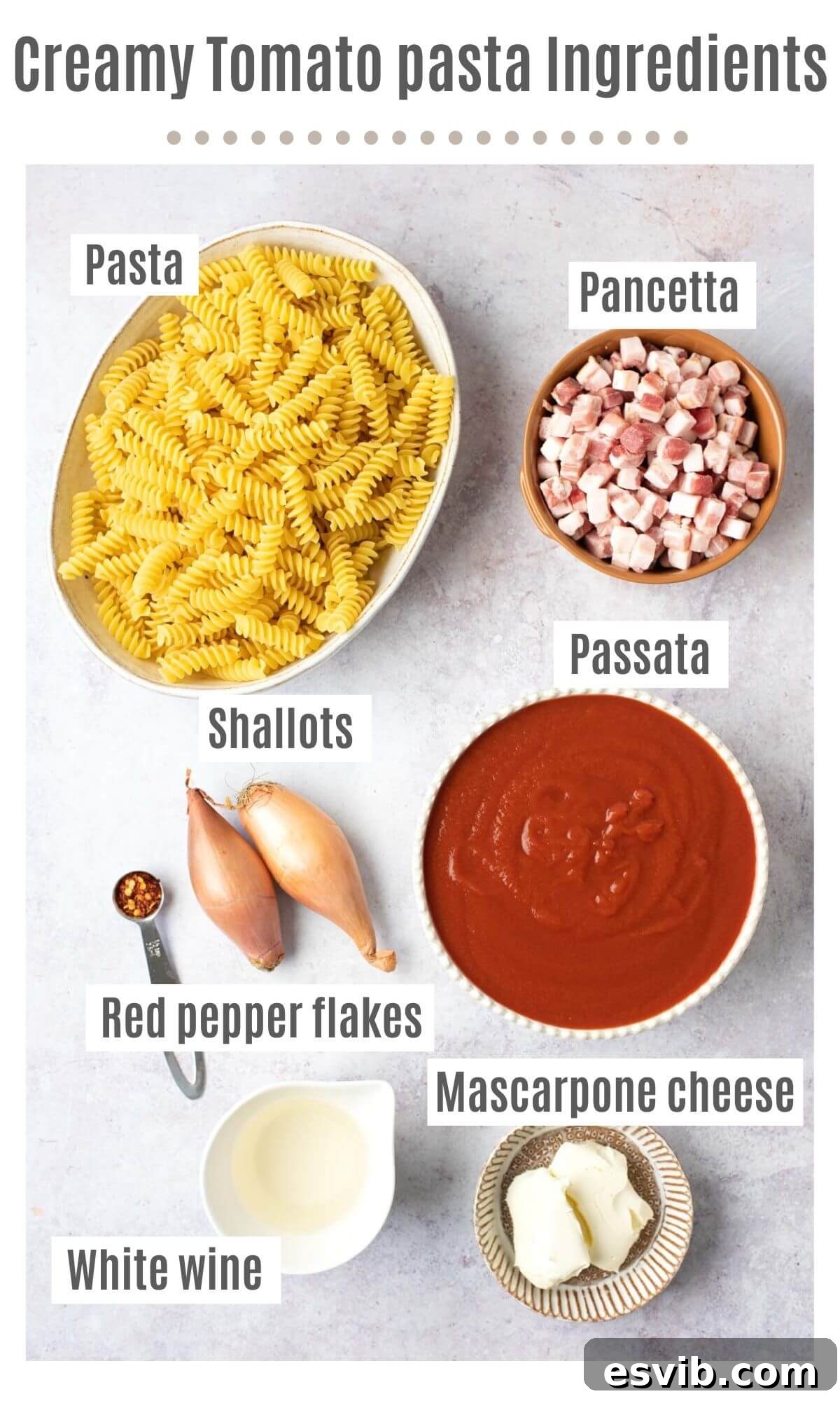 An overhead shot of all the ingredients you need to make creamy tomato pasta