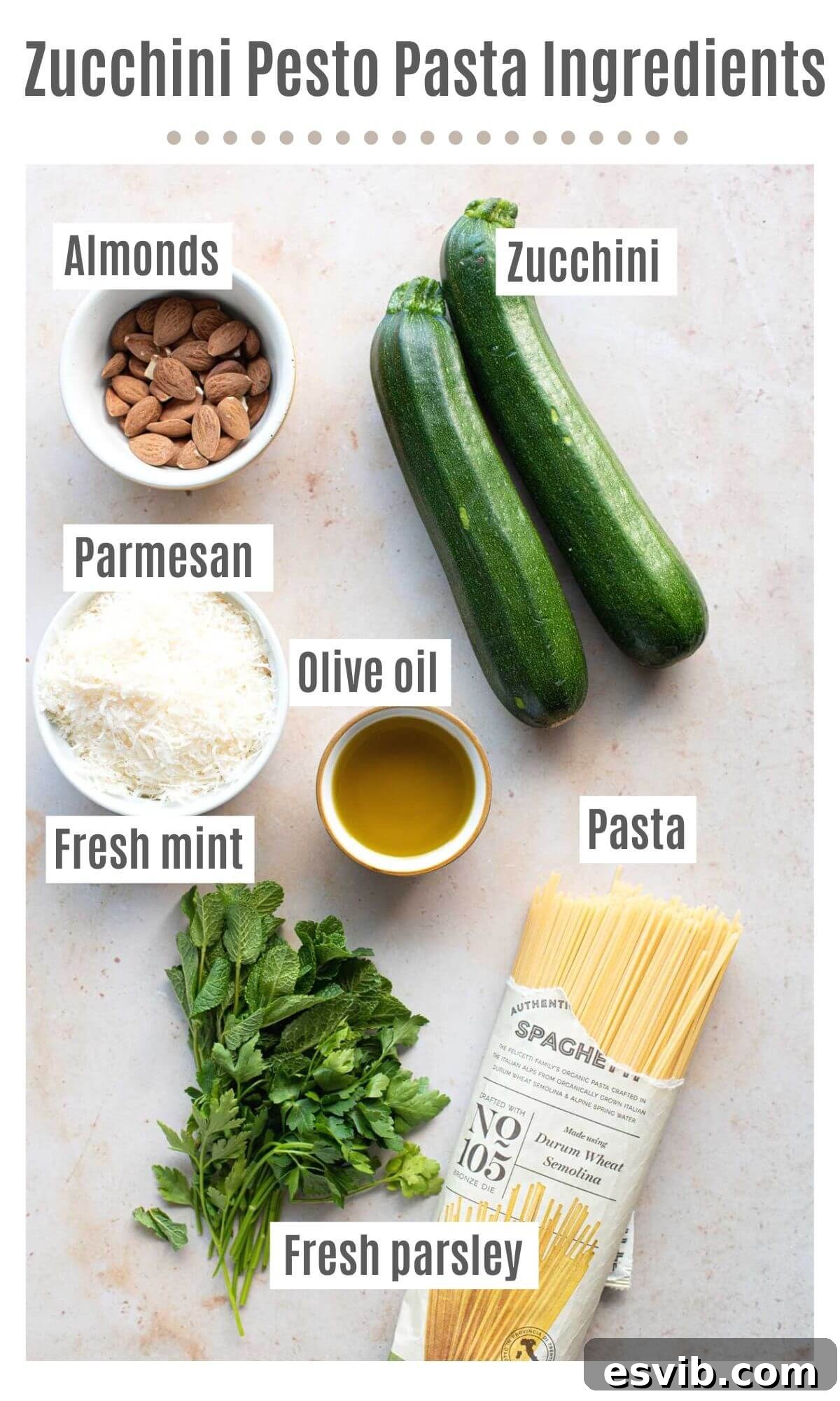 An overhead shot displaying all the fresh ingredients required to make zucchini pesto pasta, neatly arranged