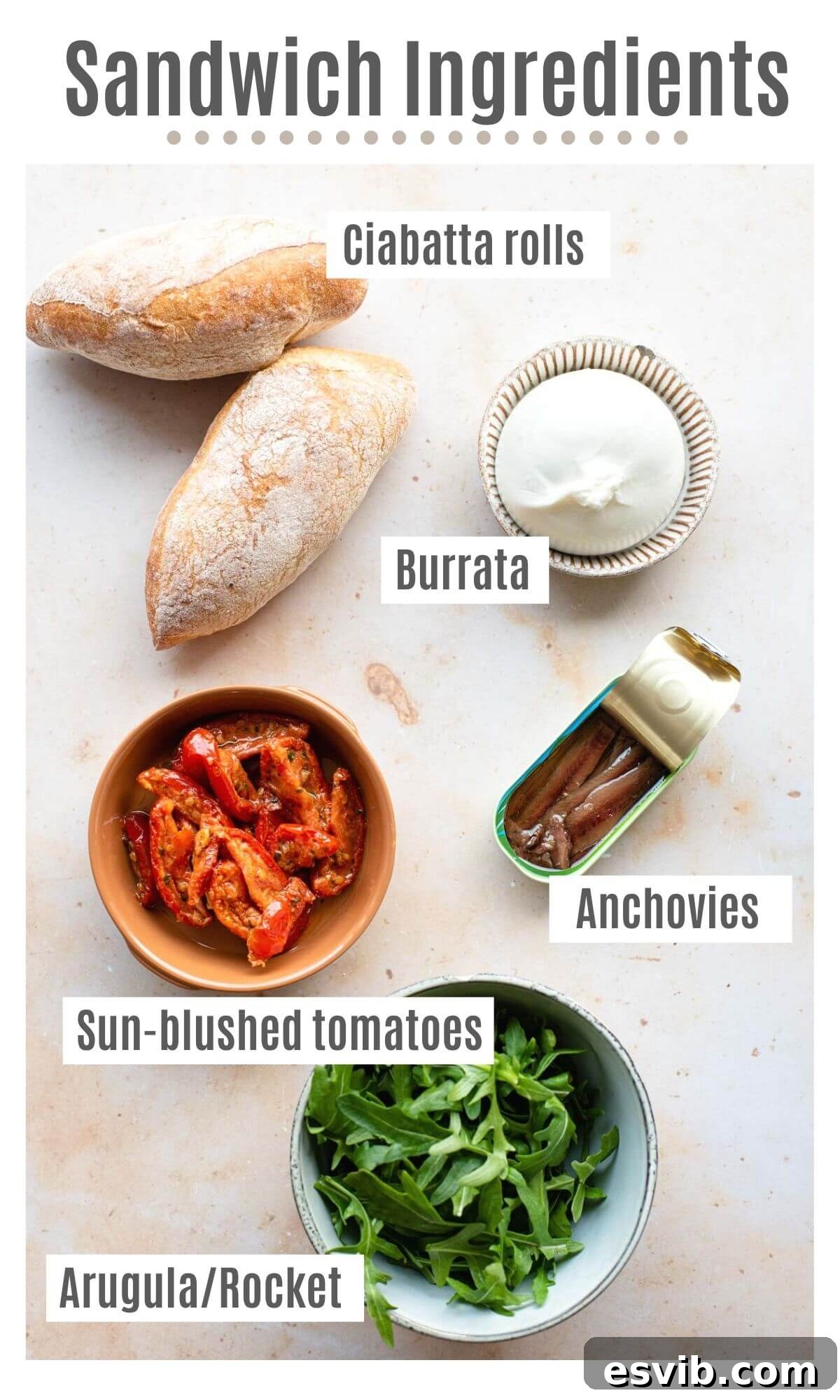 An overhead shot of labelled ingredients, including ciabatta rolls, a ball of burrata, sun-blushed tomatoes, anchovy fillets, and fresh arugula, beautifully arranged.
