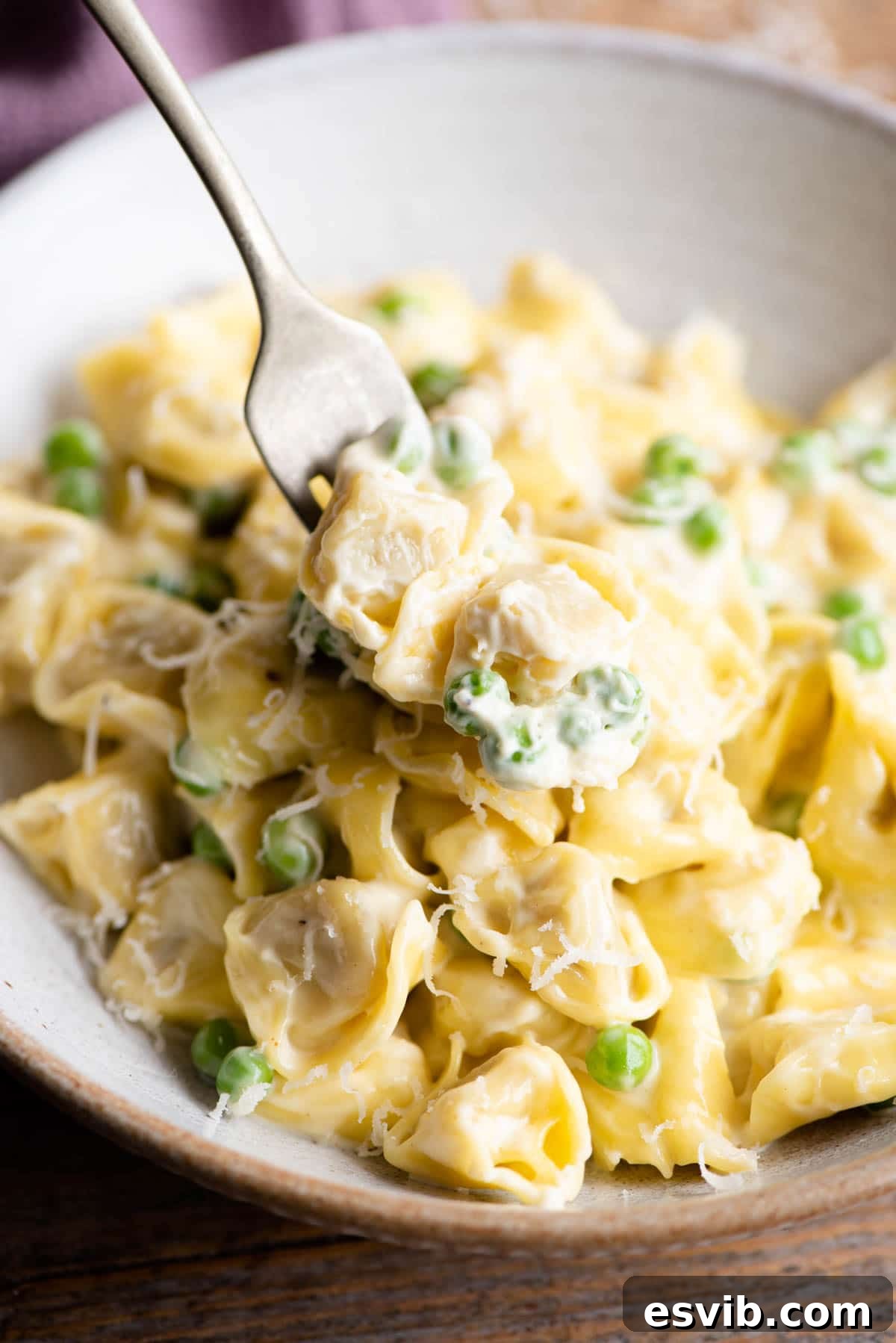 A close up of two Tortellini on a fork with cream and peas