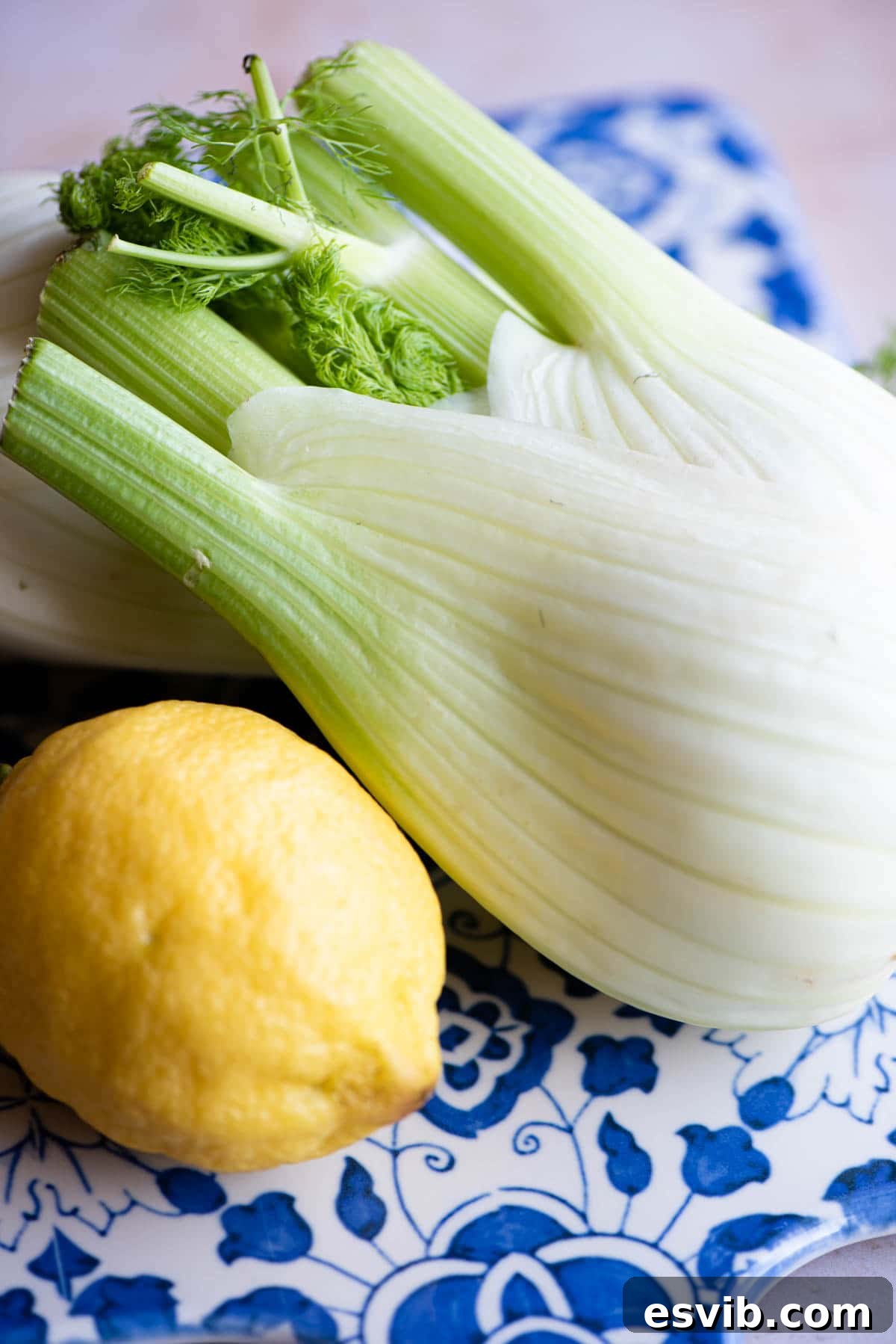 A crisp, vibrant fennel bulb alongside a bright, unwaxed lemon on a kitchen counter, highlighting key ingredients for grilled fennel.