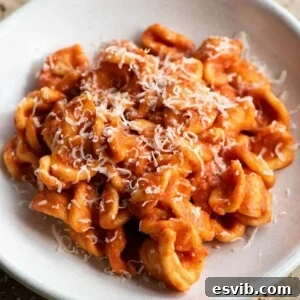 Orecchiette in a Fiery Nduja Sauce 7 A close up of orecchiette pasta with Nduja sugo in a rustic bowl, ready to be served.