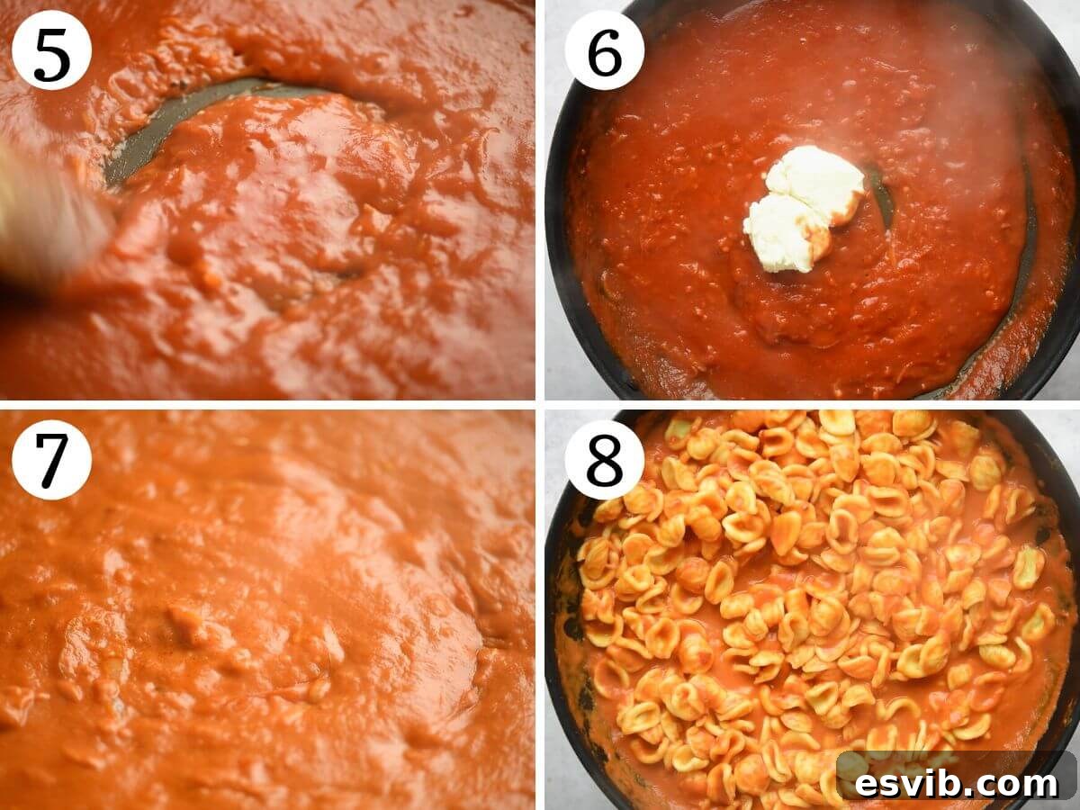 Orecchiette in a Fiery Nduja Sauce 5 A collage of four images illustrating the final steps of preparing creamy Nduja pasta: adding mascarpone, mixing with cooked orecchiette, and serving