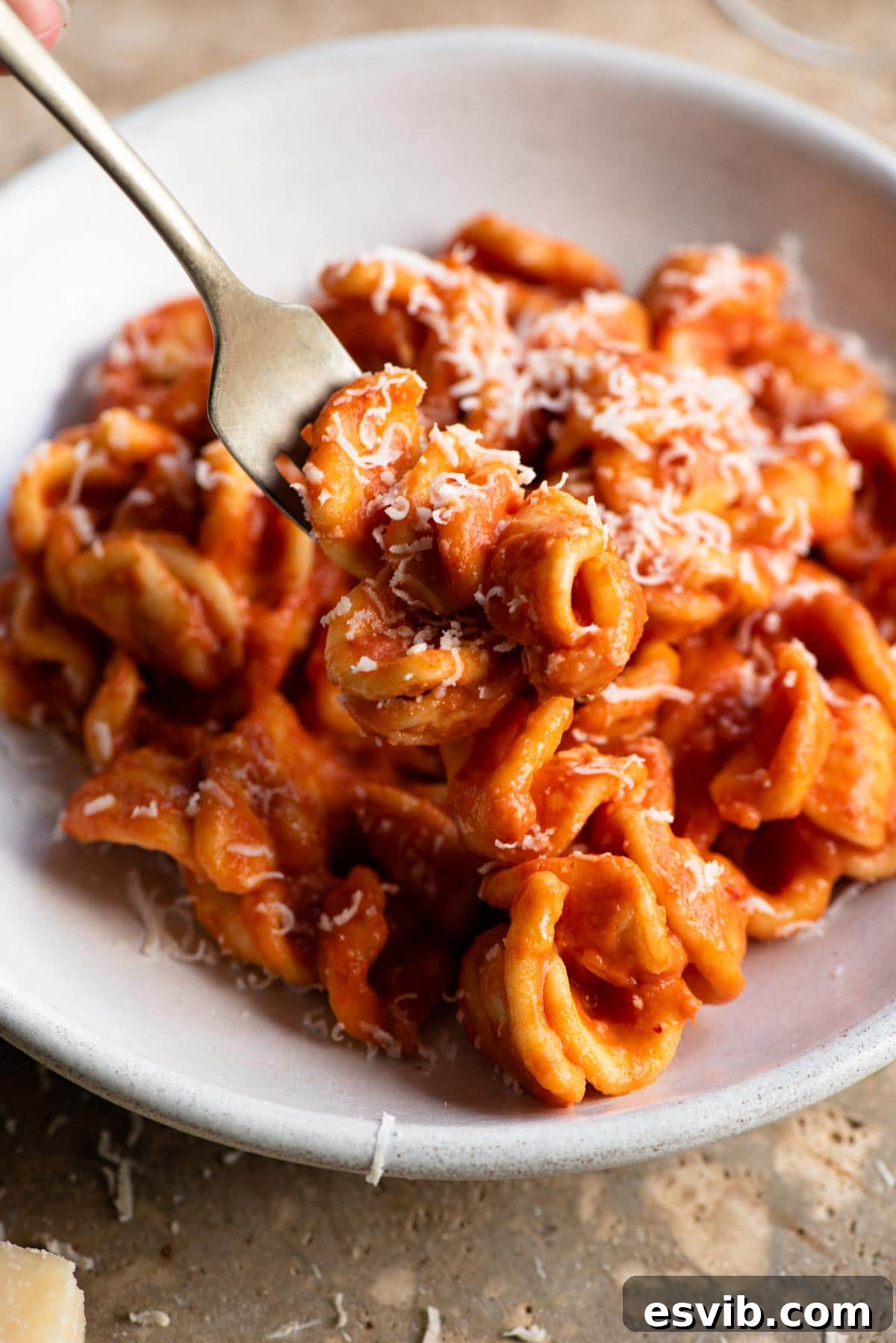 Orecchiette in a Fiery Nduja Sauce 6 A close-up shot of a fork twirling and picking up some orecchiette pasta with a rich, creamy tomato Nduja sauce from a rustic ceramic bowl