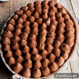 A square image of a chocolate tiramisu in an oval dish sitting on a rustic wooden background.