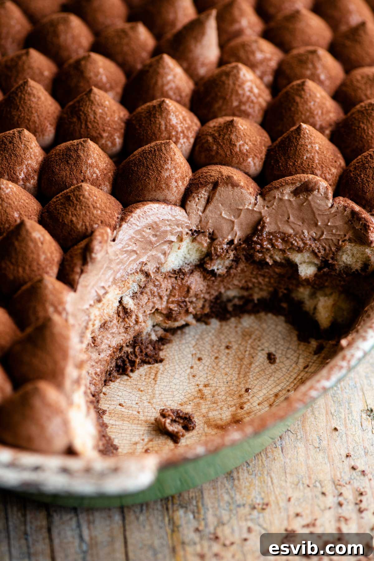 A close-up shot of a magnificent chocolate tiramisu in an oval dish, with a scoop removed to reveal perfectly layered chocolate cream and sponge fingers.