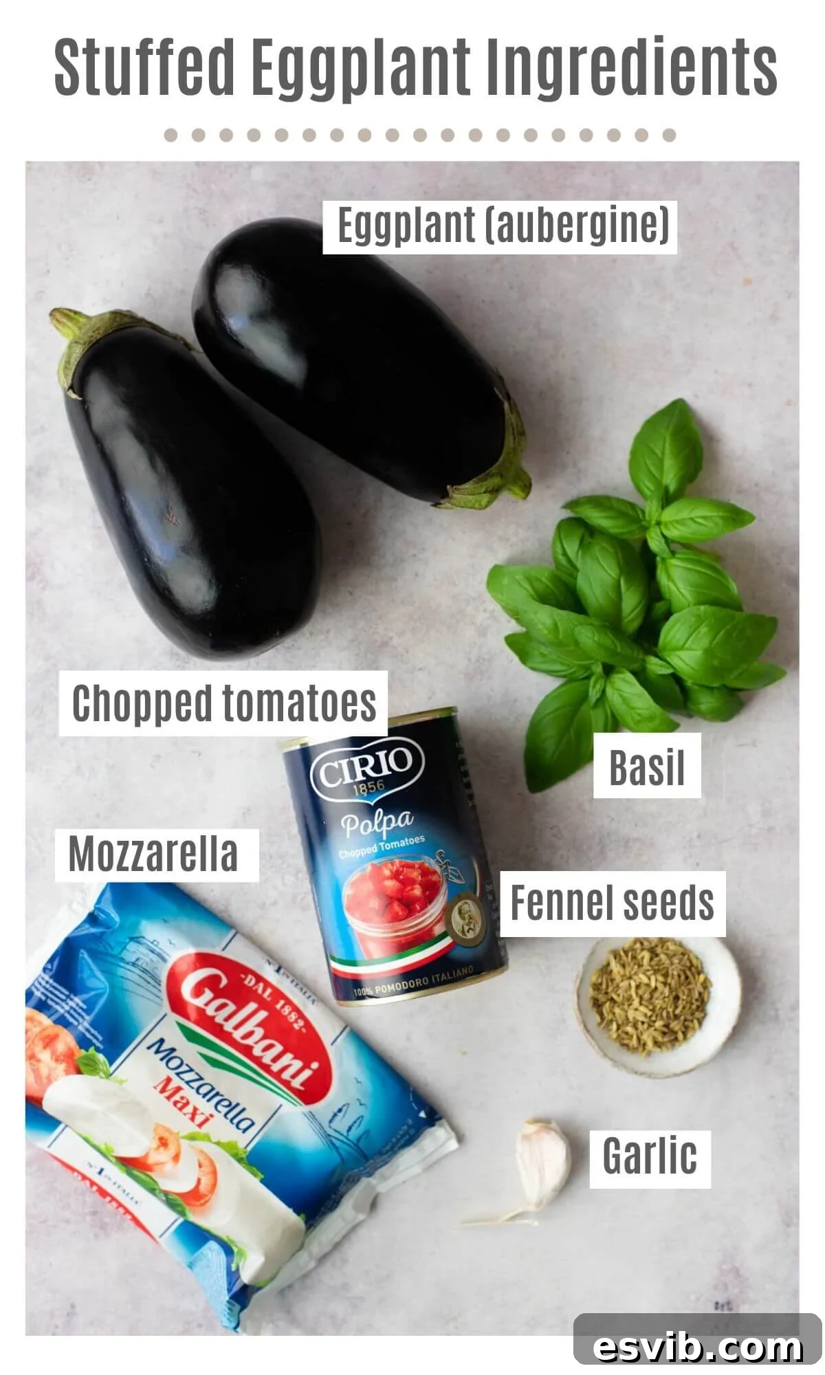 An inviting overhead shot showcasing the vibrant, fresh ingredients required for making authentic Italian stuffed eggplant: firm, glossy eggplants, fragrant fresh basil leaves, rich canned chopped tomatoes, creamy fresh mozzarella, aromatic fennel seeds, and pungent garlic cloves.