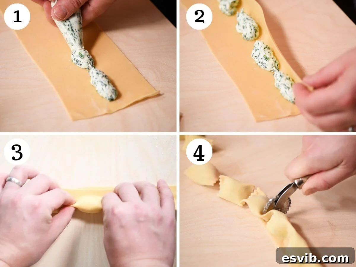 Four photos demonstrating how to pipe Agnolotti filling in small, separate sections.