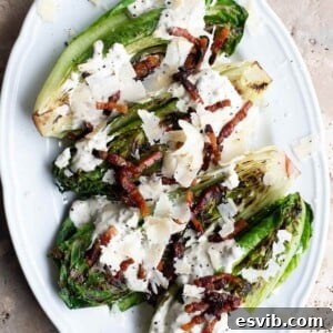 A close up of grilled romaine lettuce on a white plate topped with pancetta and Parmigiano Reggiano.