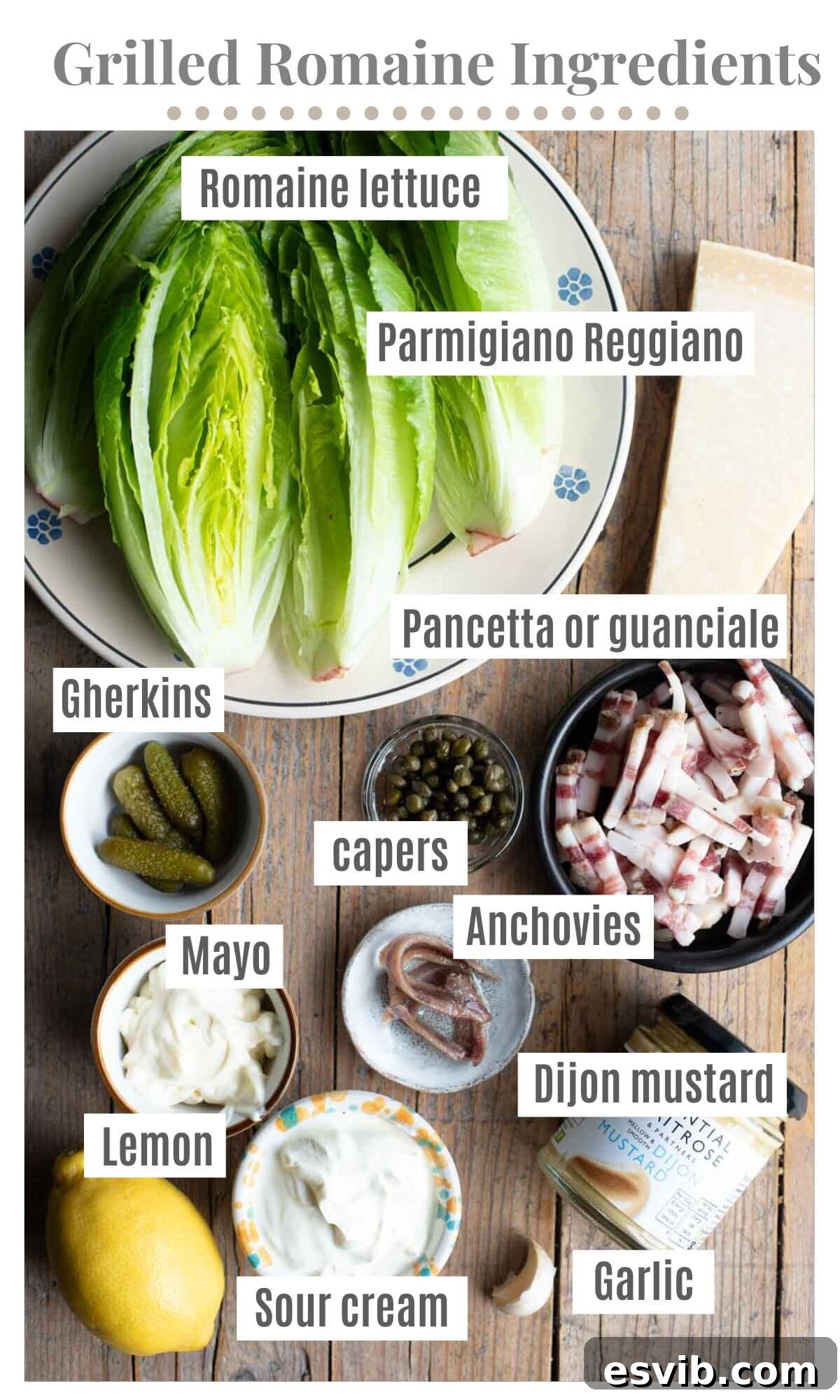 An overhead shot of all the ingredients needed to make a grilled romaine salad with a creamy dressing and pancetta, including romaine lettuce, capers, anchovies, mayonnaise, sour cream, garlic, lemon, pancetta, and Parmigiano Reggiano.