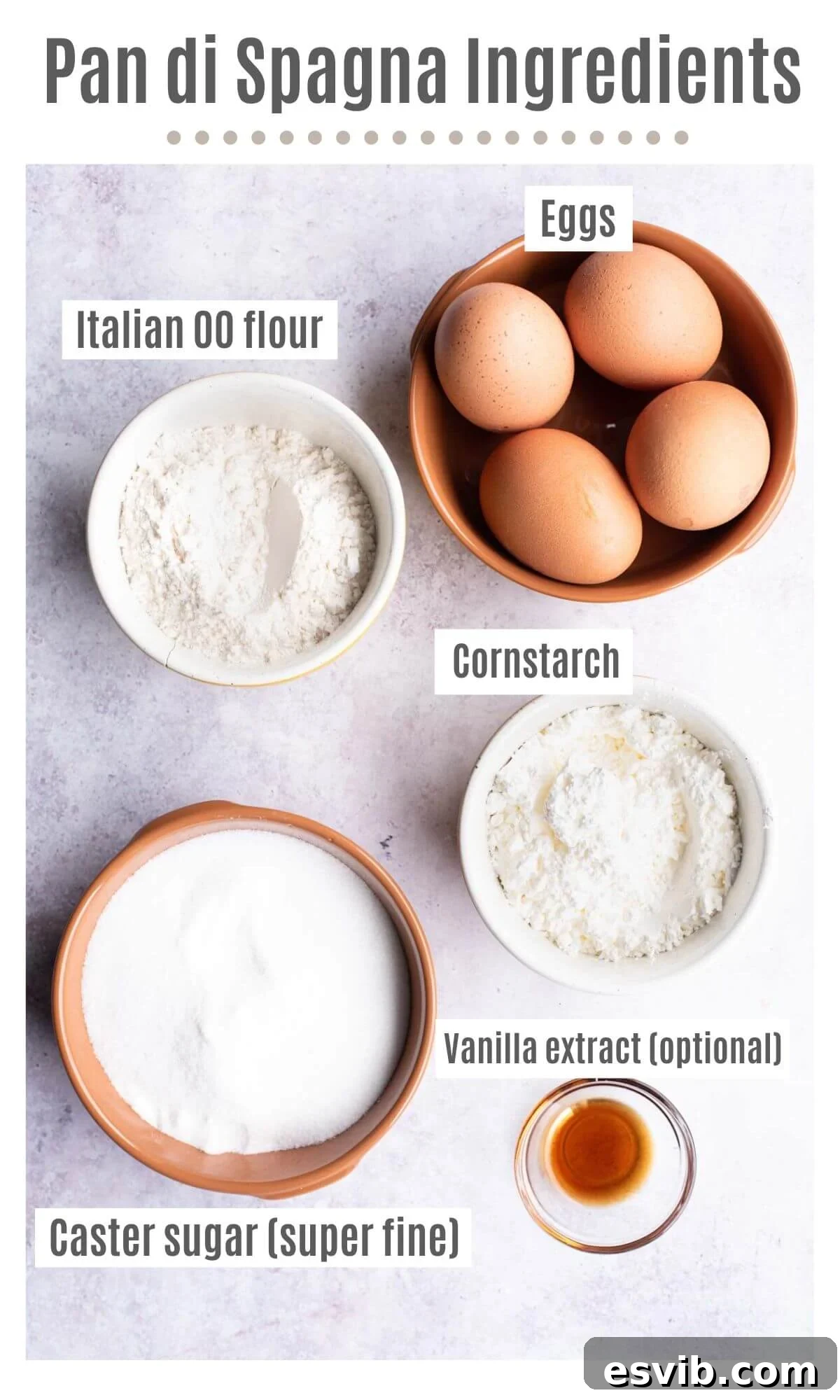 An overhead shot of labelled ingredients; eggs, cornstarch, Italian 00 flour, caster sugar and vanilla extract. 