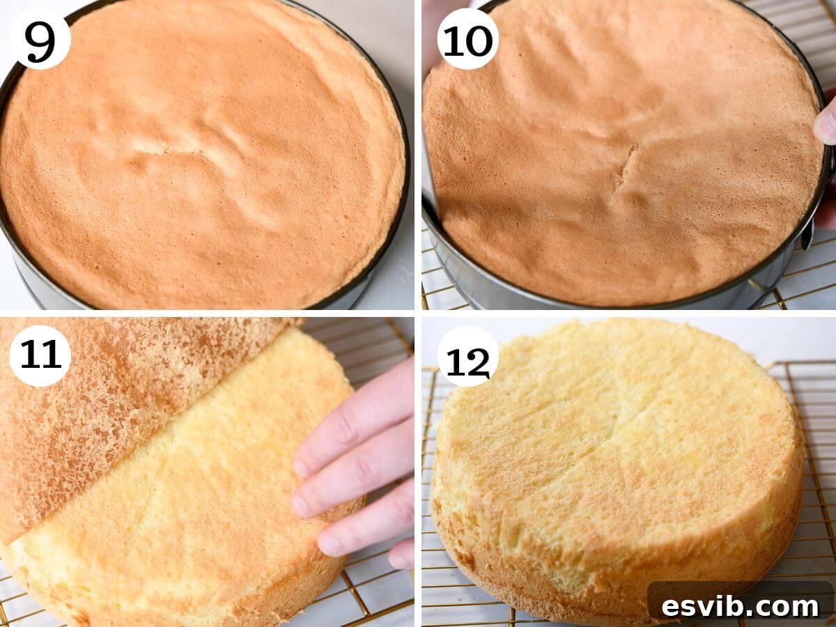 Four photos in a collage showing what Pan di Spagna looks like once baked.