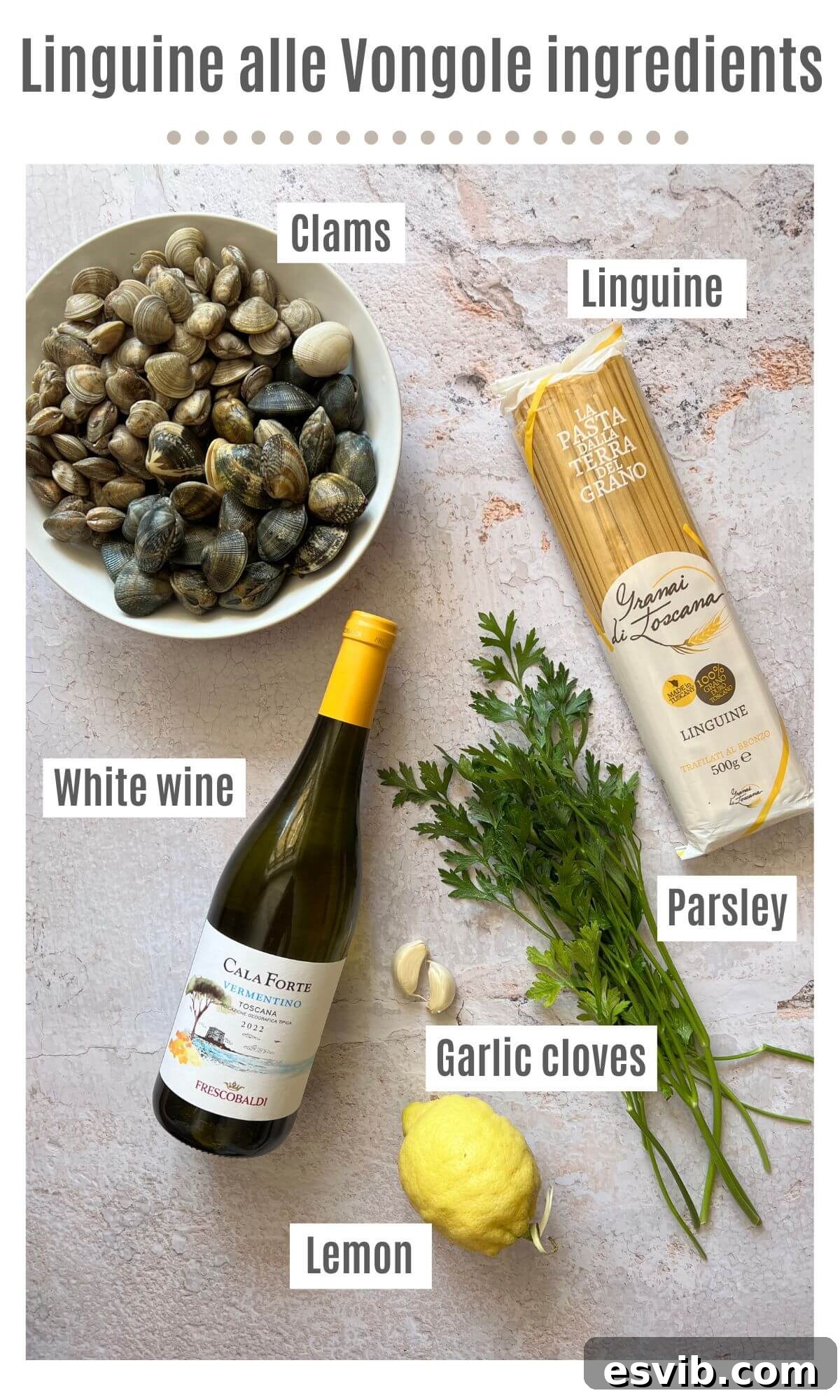 An overhead shot showcasing all the fresh ingredients laid out for making Linguine alle Vongole, including fresh clams, linguine, garlic, parsley, white wine, and lemon.