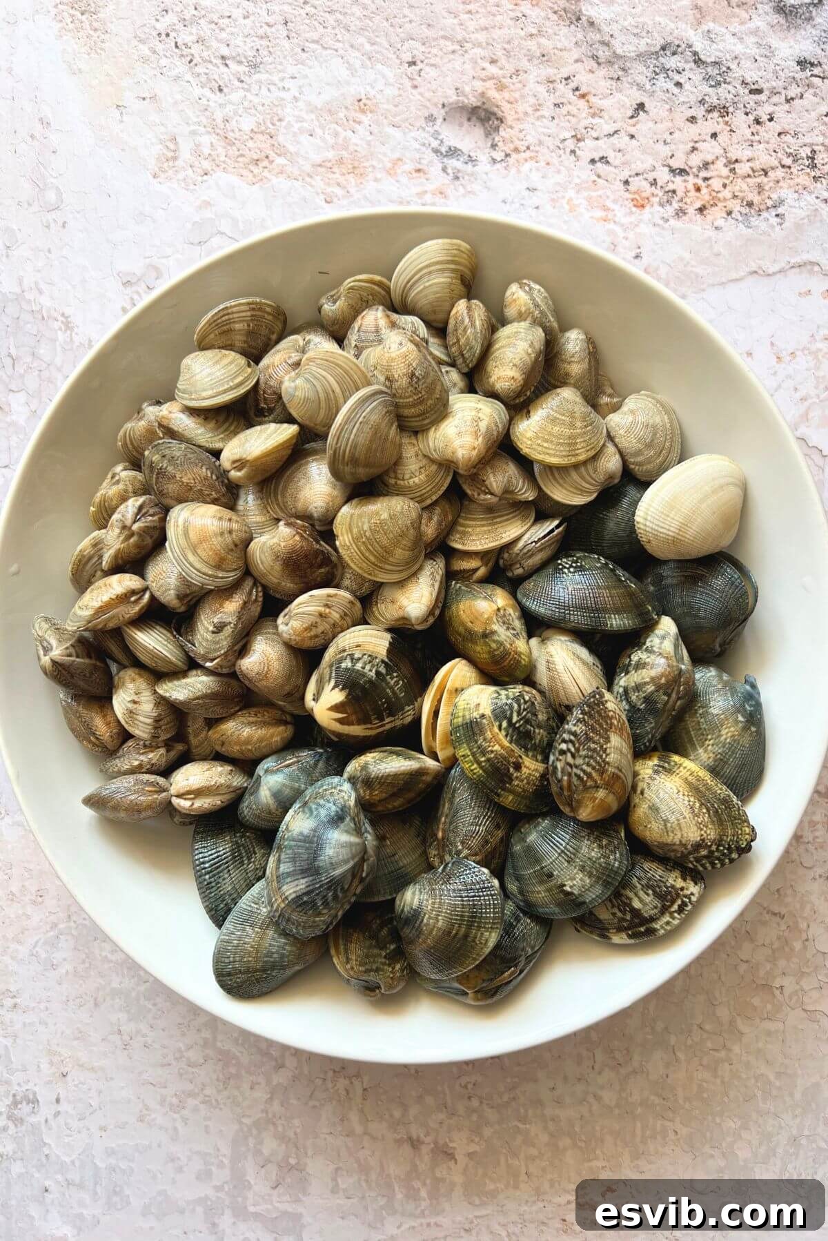 An overhead shot of a bowl containing two distinct types of fresh clams: larger Vongole Veraci and smaller Vongole Lupini, ready for cleaning.