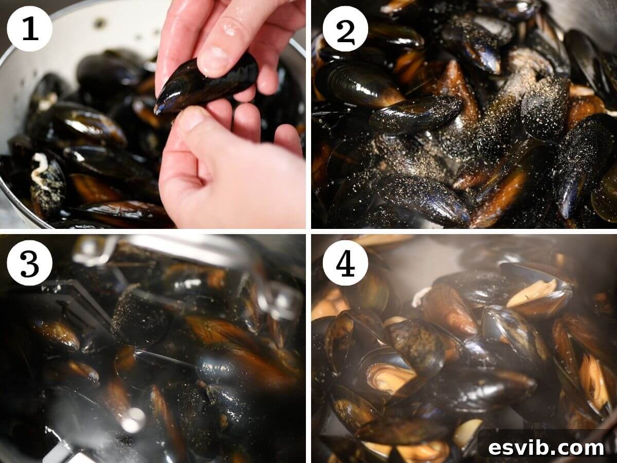 A four-photo collage illustrating the cooking process of Italian peppered mussels (Impepata di Cozze): cleaning mussels, adding to pot with pepper, steaming with lid, and finished opened mussels.
