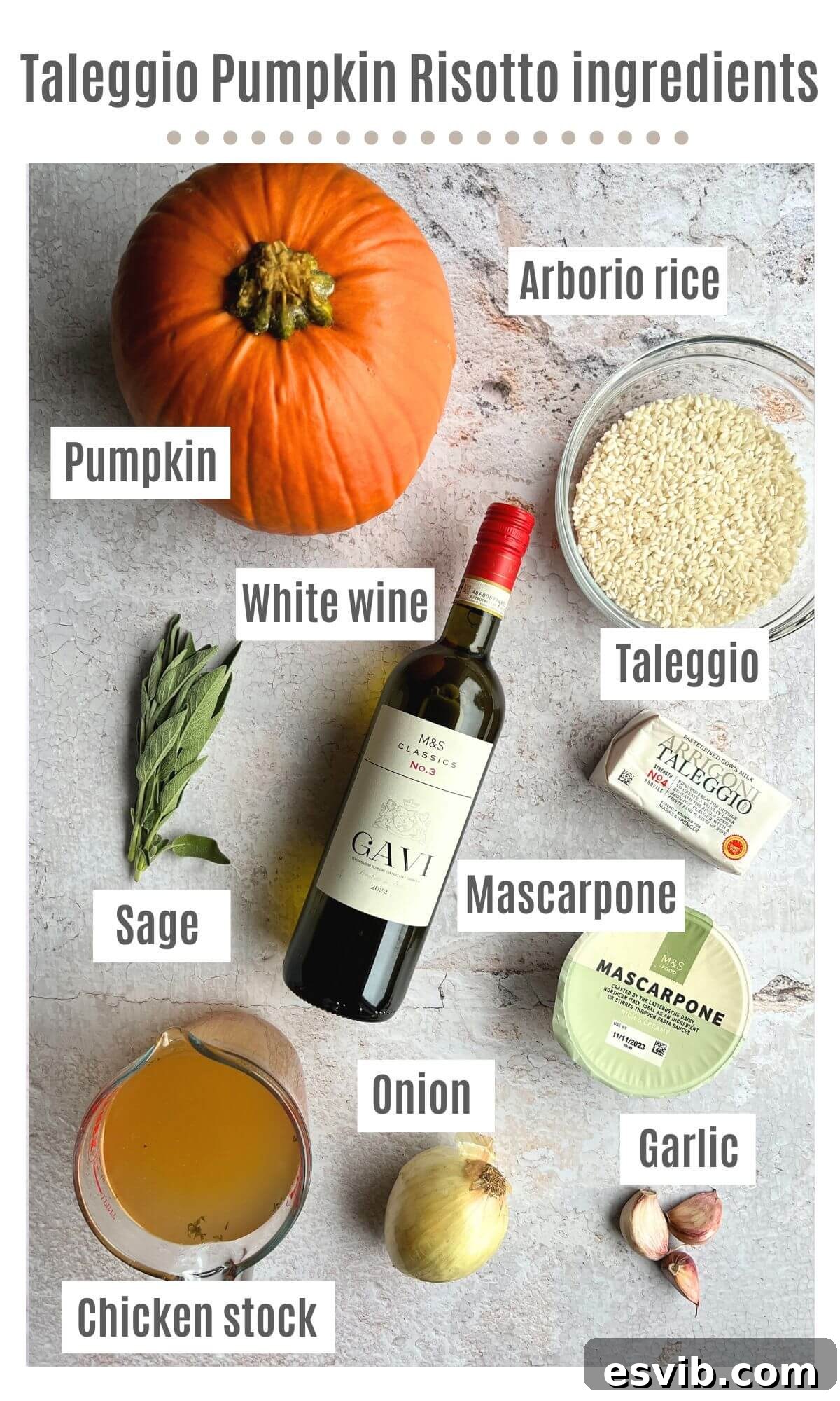 An overhead shot of all the ingredients you need to make pumpkin risotto.