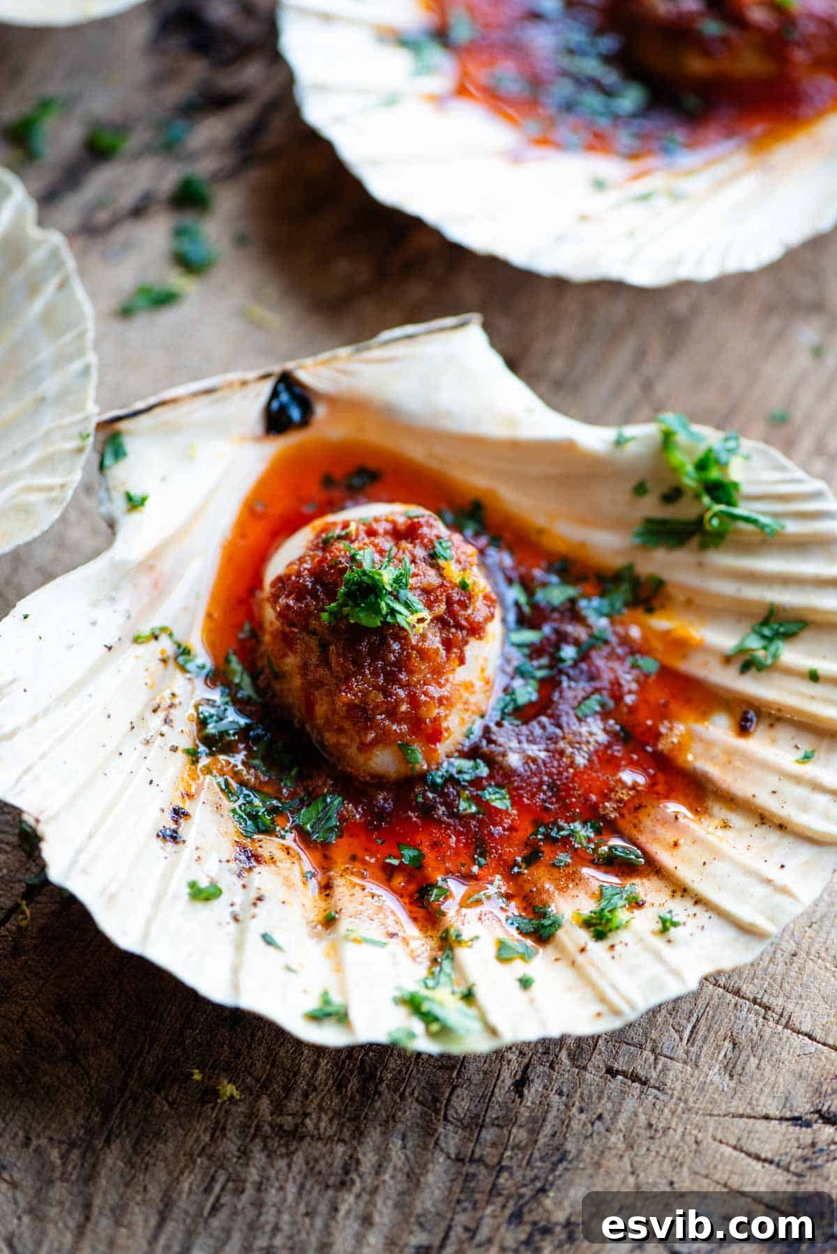Seared Scallops with Fiery Nduja Garlic Butter 6 A close-up side shot of a perfectly broiled scallop in its natural shell, generously topped with melted 'Nduja garlic butter and vibrant green parsley.