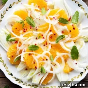 A close-up overhead shot of a prepared Sicilian Fennel and Orange Salad with pink peppercorns, ready to be served.