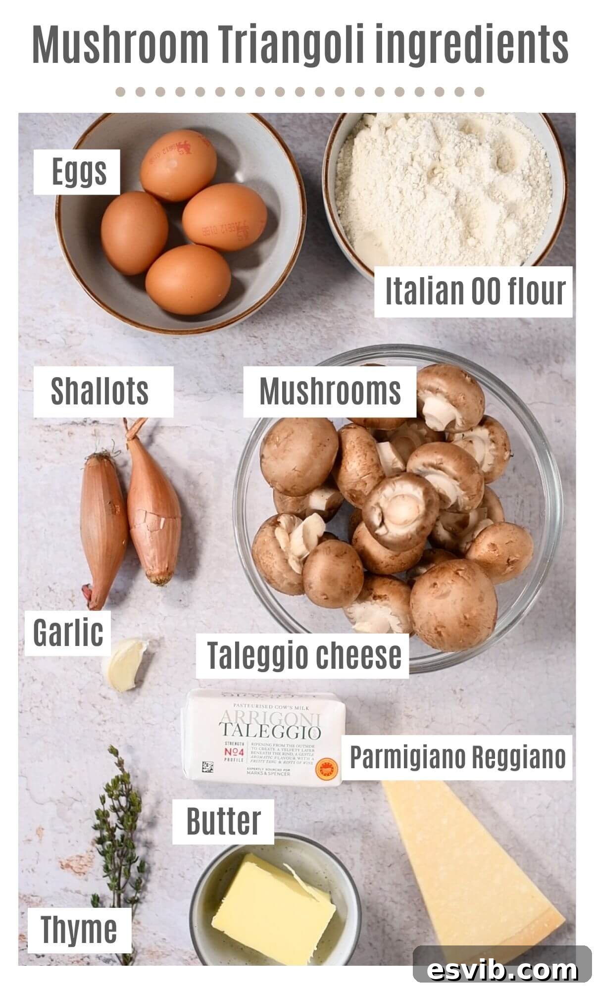 An overhead shot showcasing all the fresh, high-quality ingredients required to prepare homemade Triangoli pasta with its delightful mushroom and Taleggio filling.