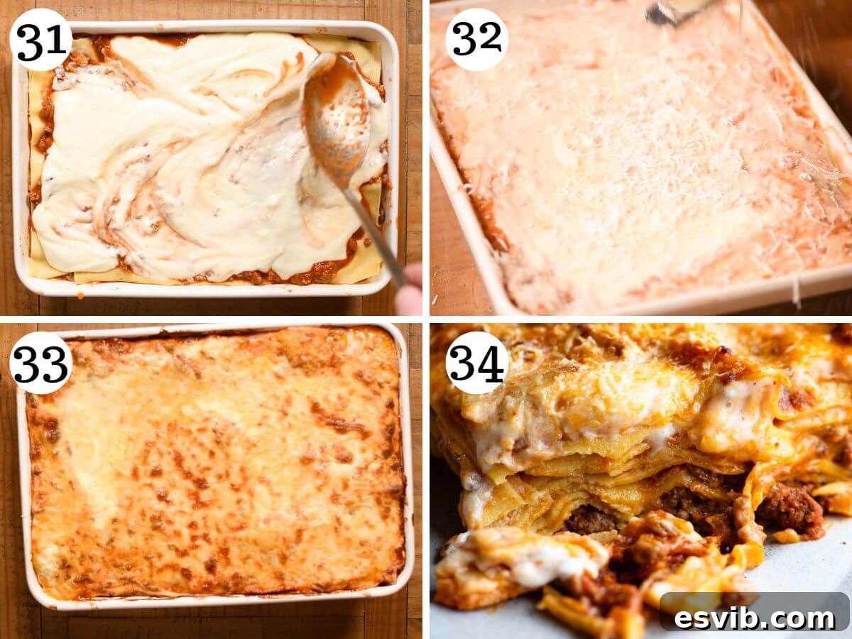 Lamb Ragù Lasagna with Pecorino Bechamel 13 A four-photo collage showing the final stages of preparing a lamb lasagna: applying the last layers of ragu and bechamel, topping with cheese, and the beautifully baked lasagna.