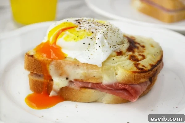 Classic Croque Madame sandwich with creamy béchamel sauce, ham, cheese, and a perfect poached egg on top.