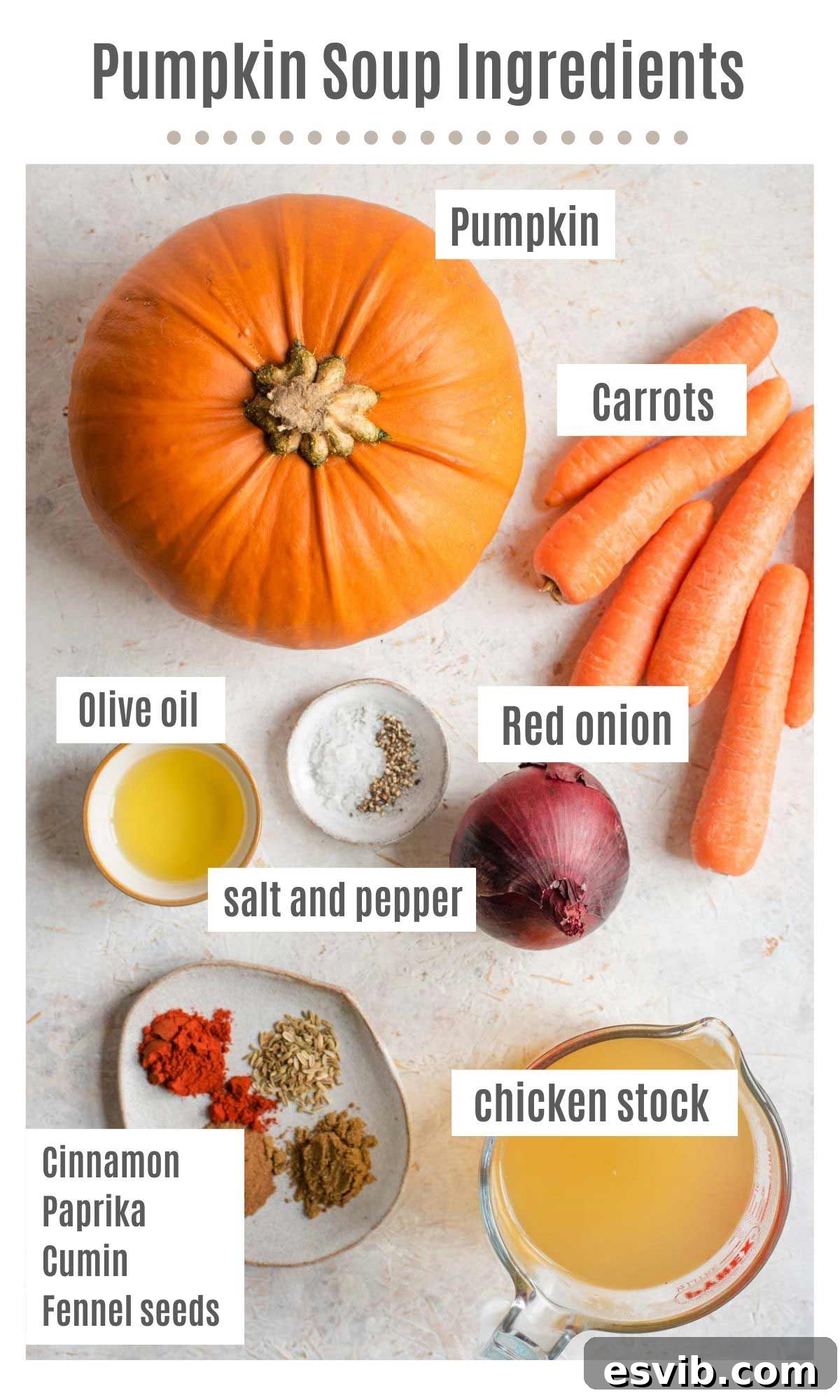 An overhead shot showcasing all the fresh ingredients laid out: a whole pumpkin, carrots, red onion, a bowl of spices (cinnamon, paprika, cumin, fennel seeds), olive oil, and chicken stock.